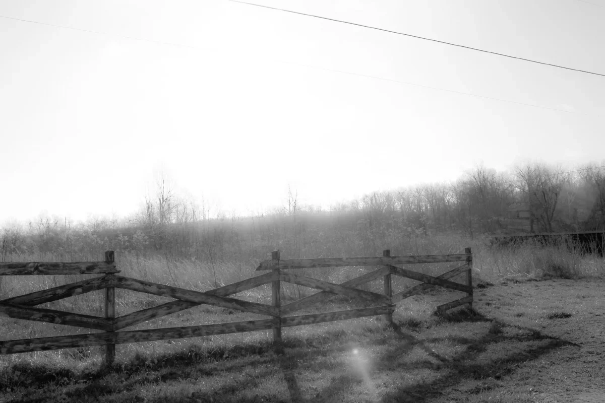 Photo taken for a stock site and treatment added  for interest.