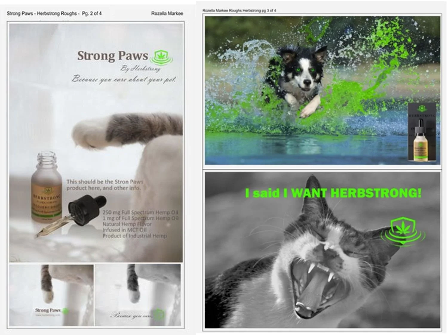 Visualization for client proposal project. Client focus on animal wellness for the images and the logo color green for the product.
