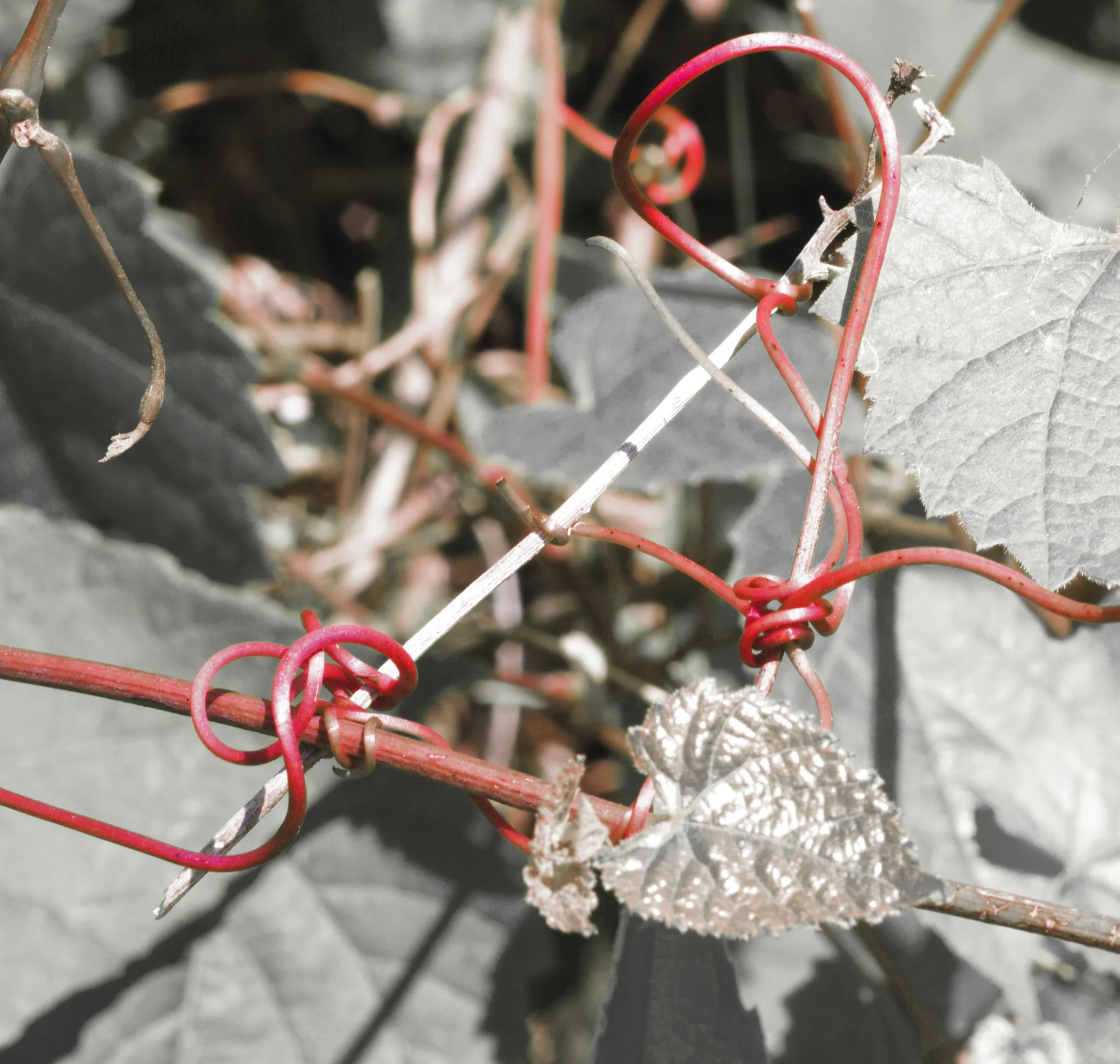 artnatureinspired 090Closeup.jpg