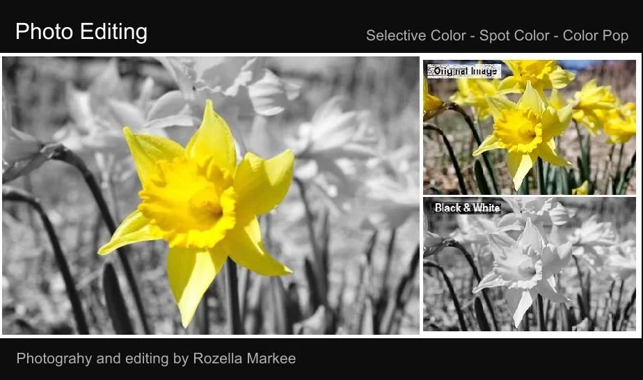 PE_SelectiveColorDaffodil.jpg