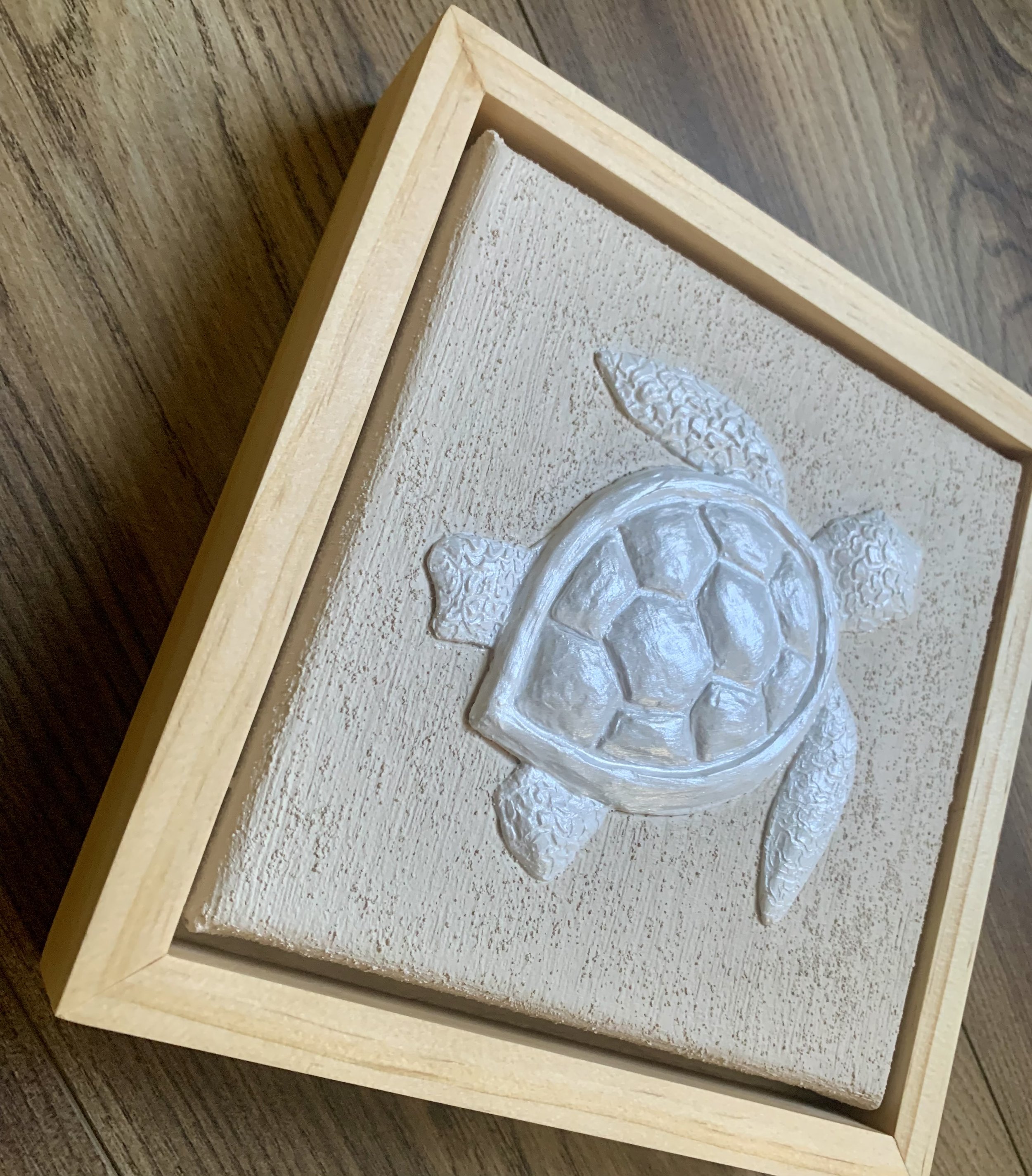 TurtleFramed2.jpeg