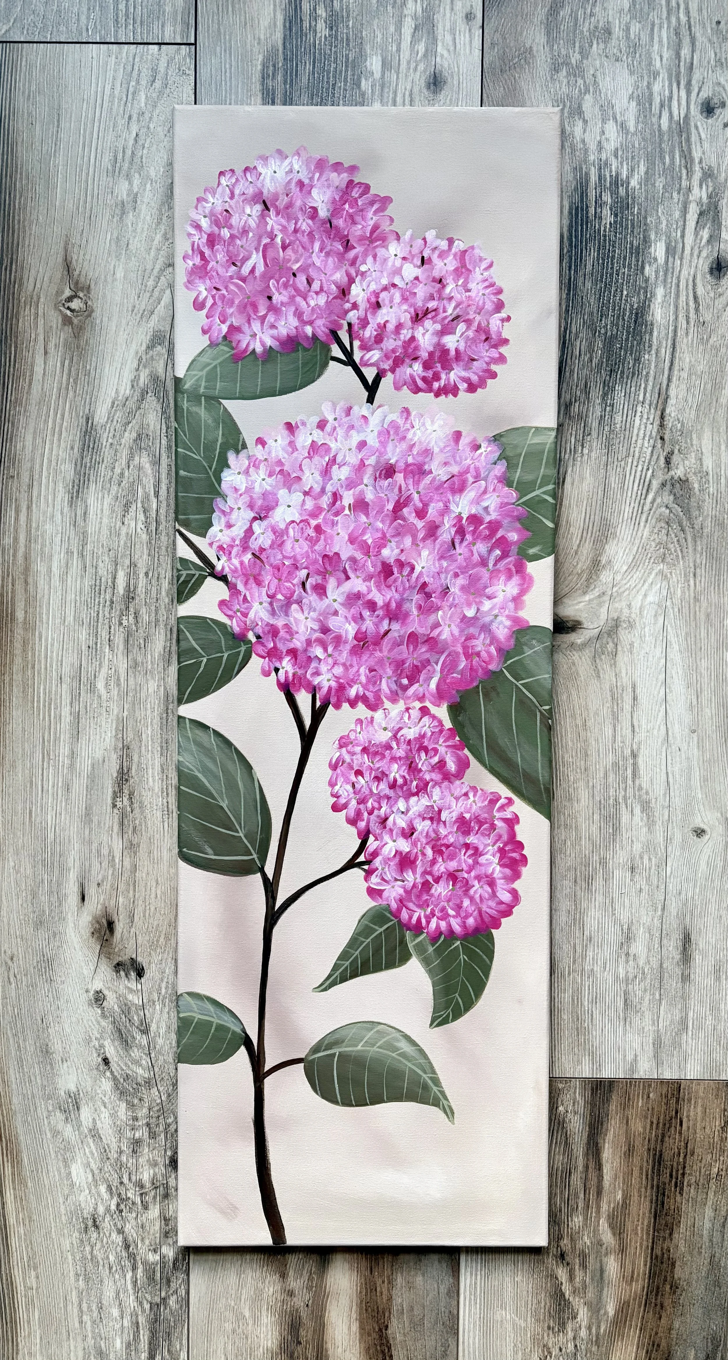 PinkHydrangea1.jpeg