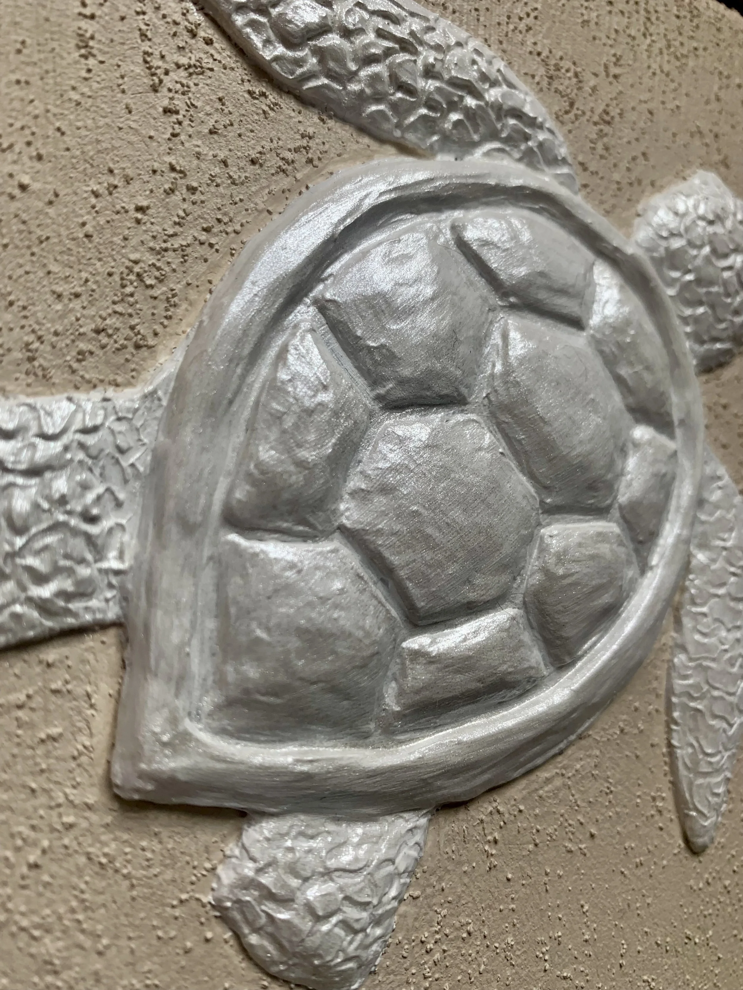 Turtle7.jpeg