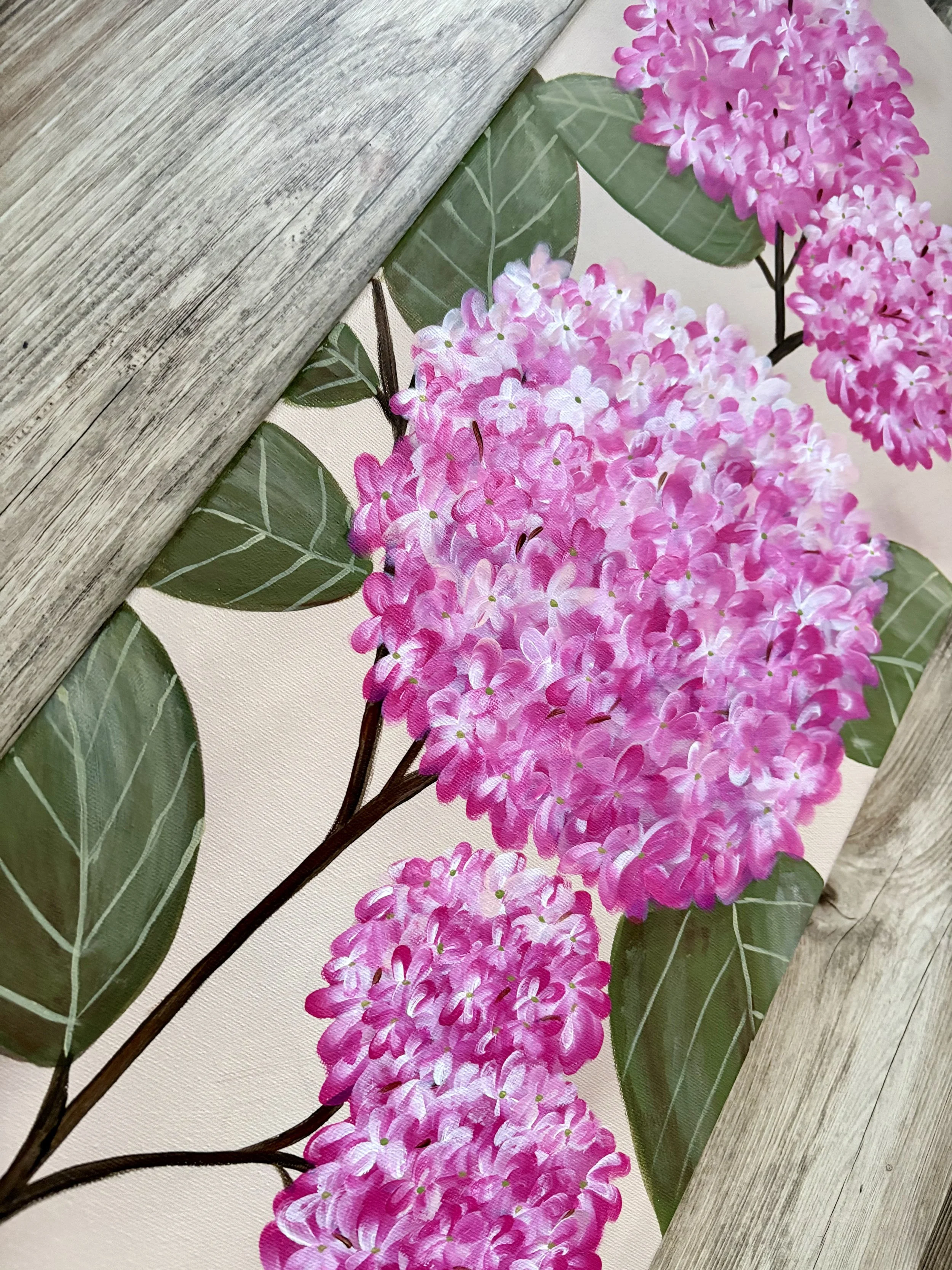 PinkHydrangea2.jpeg