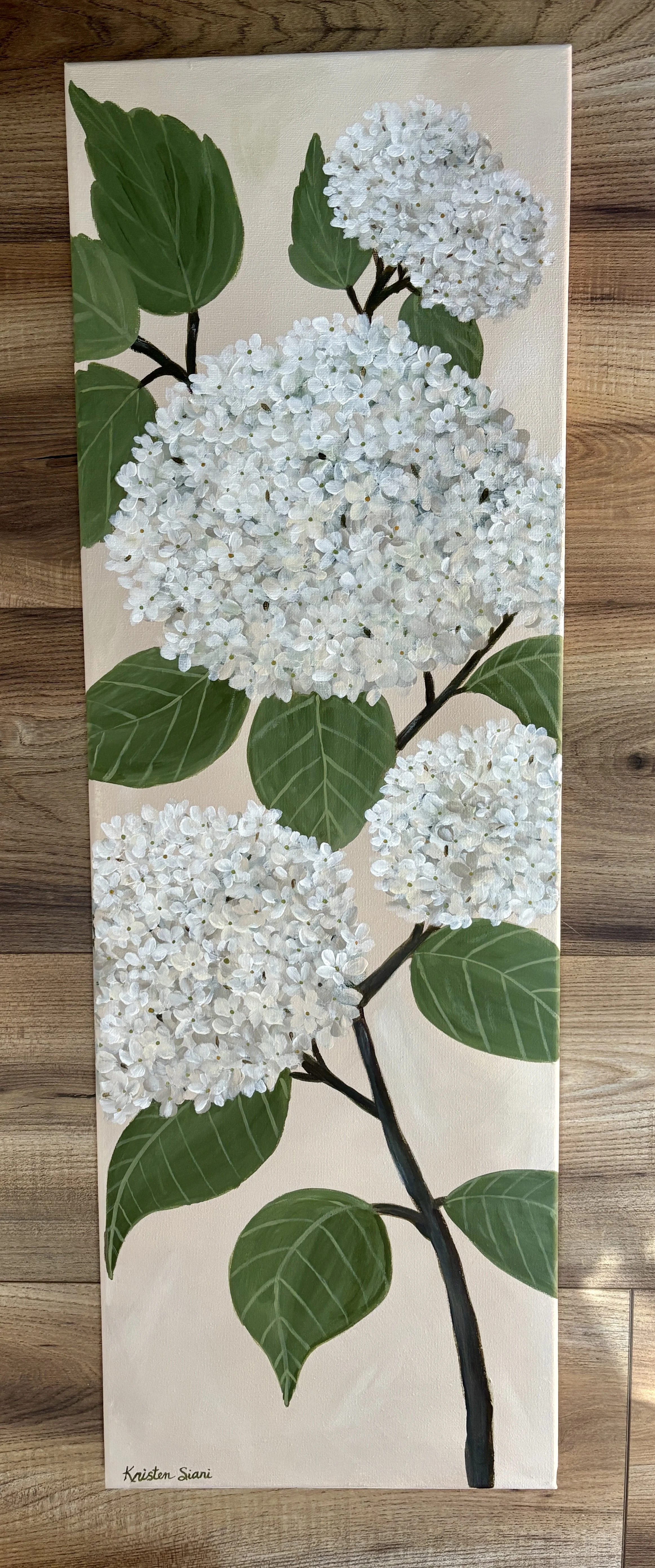 White Hydrangea