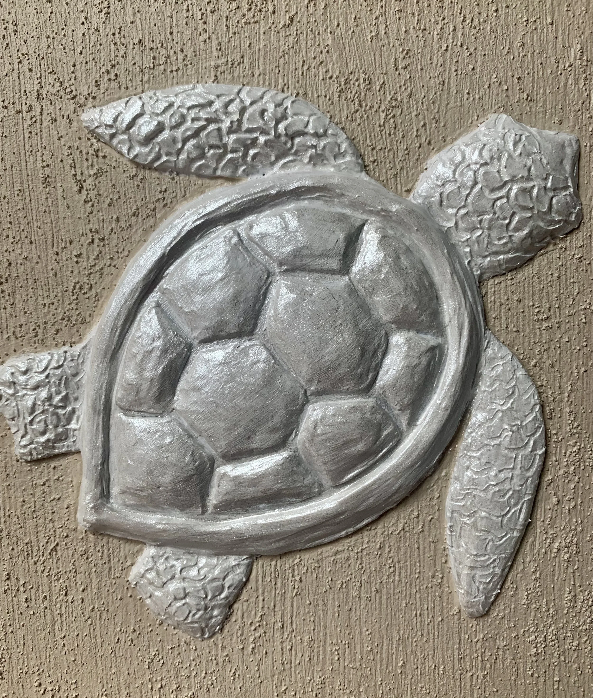 Turtle5.jpeg
