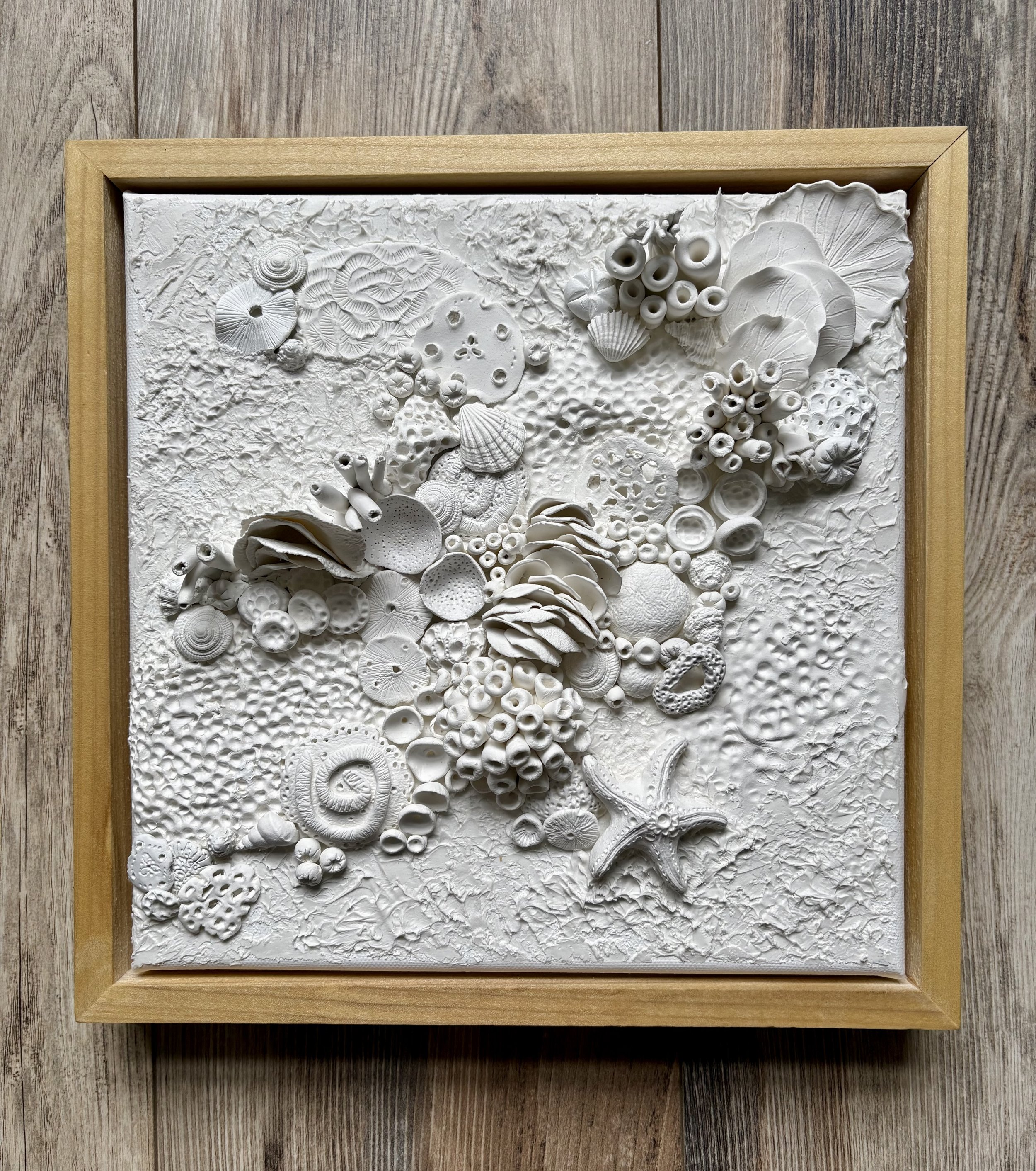 CORALinWhiteFramed1.jpeg