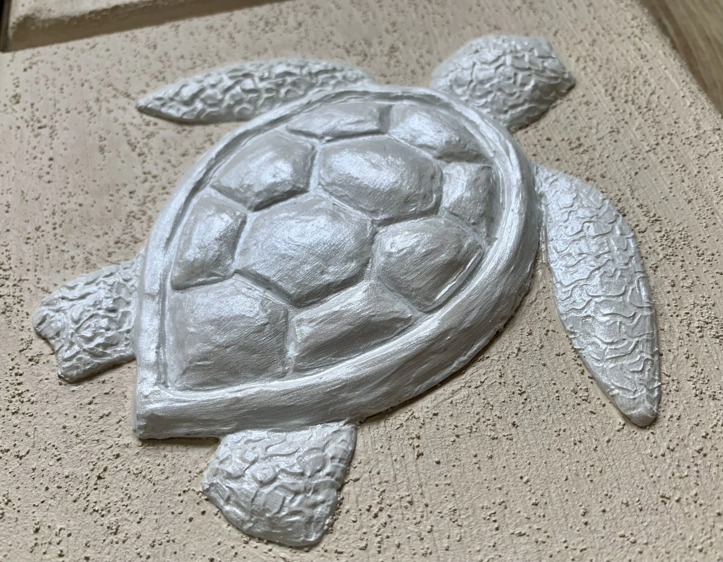Turtle2.jpeg