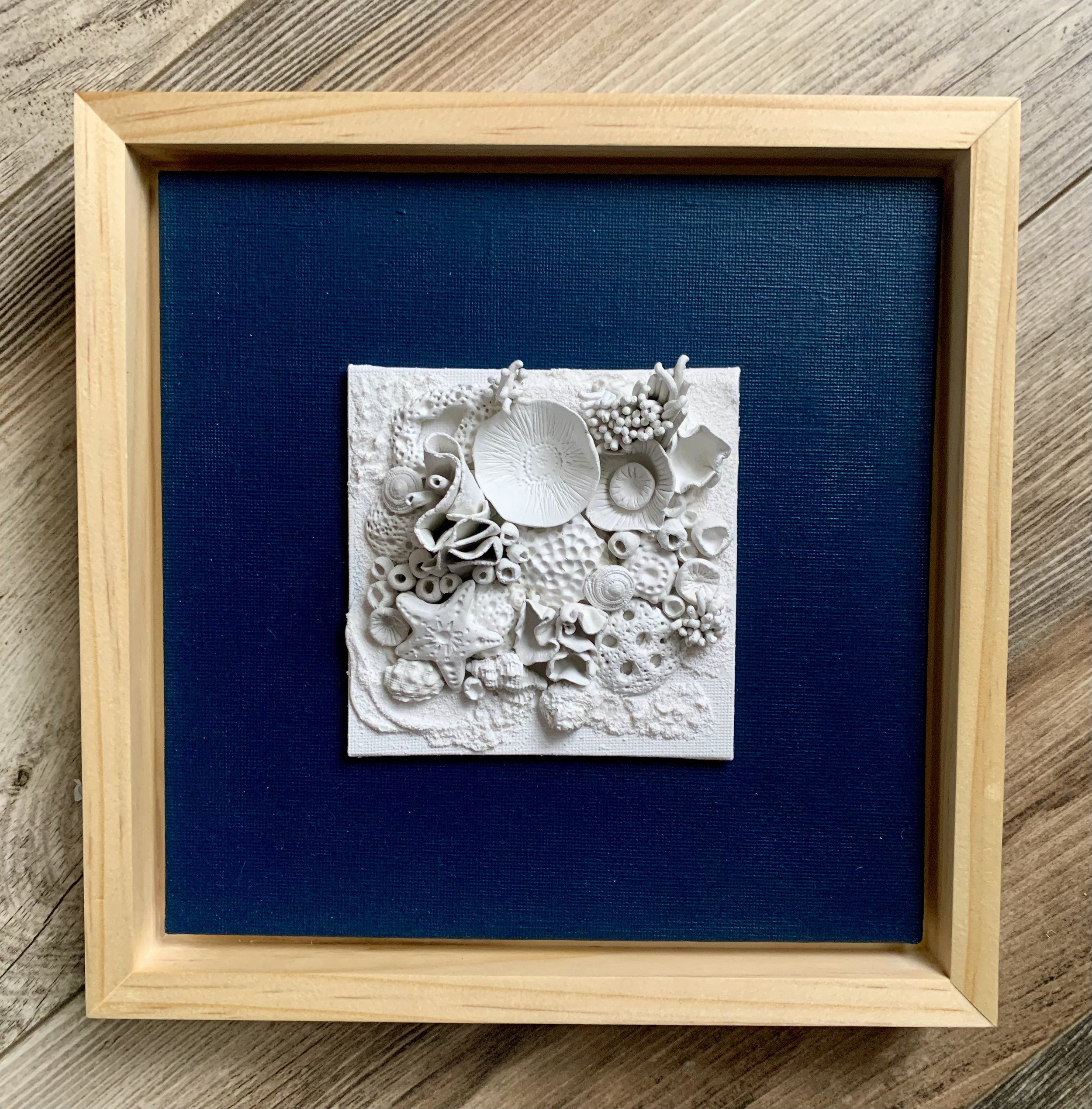 Coral on Navy