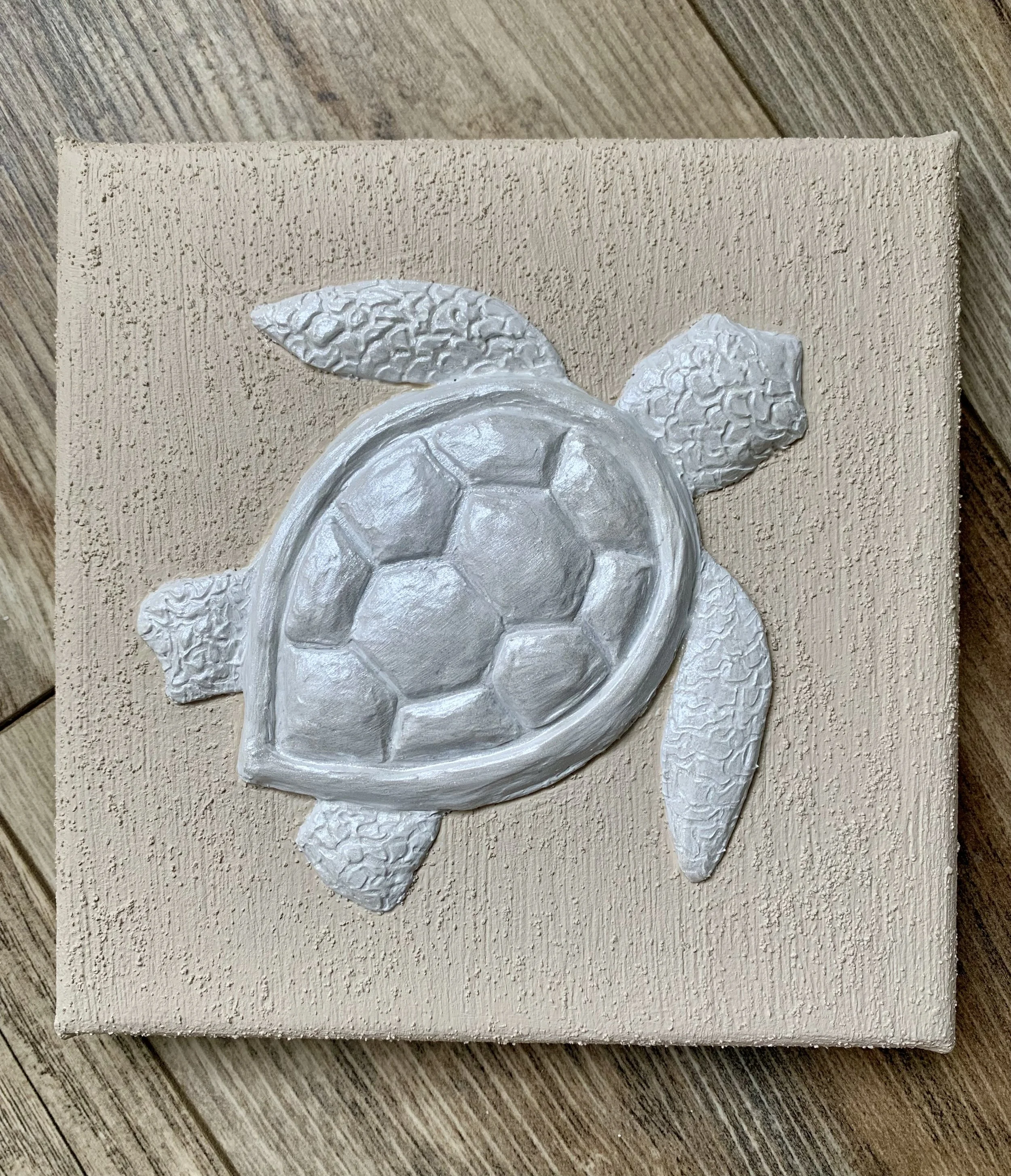 Turtle1.jpeg