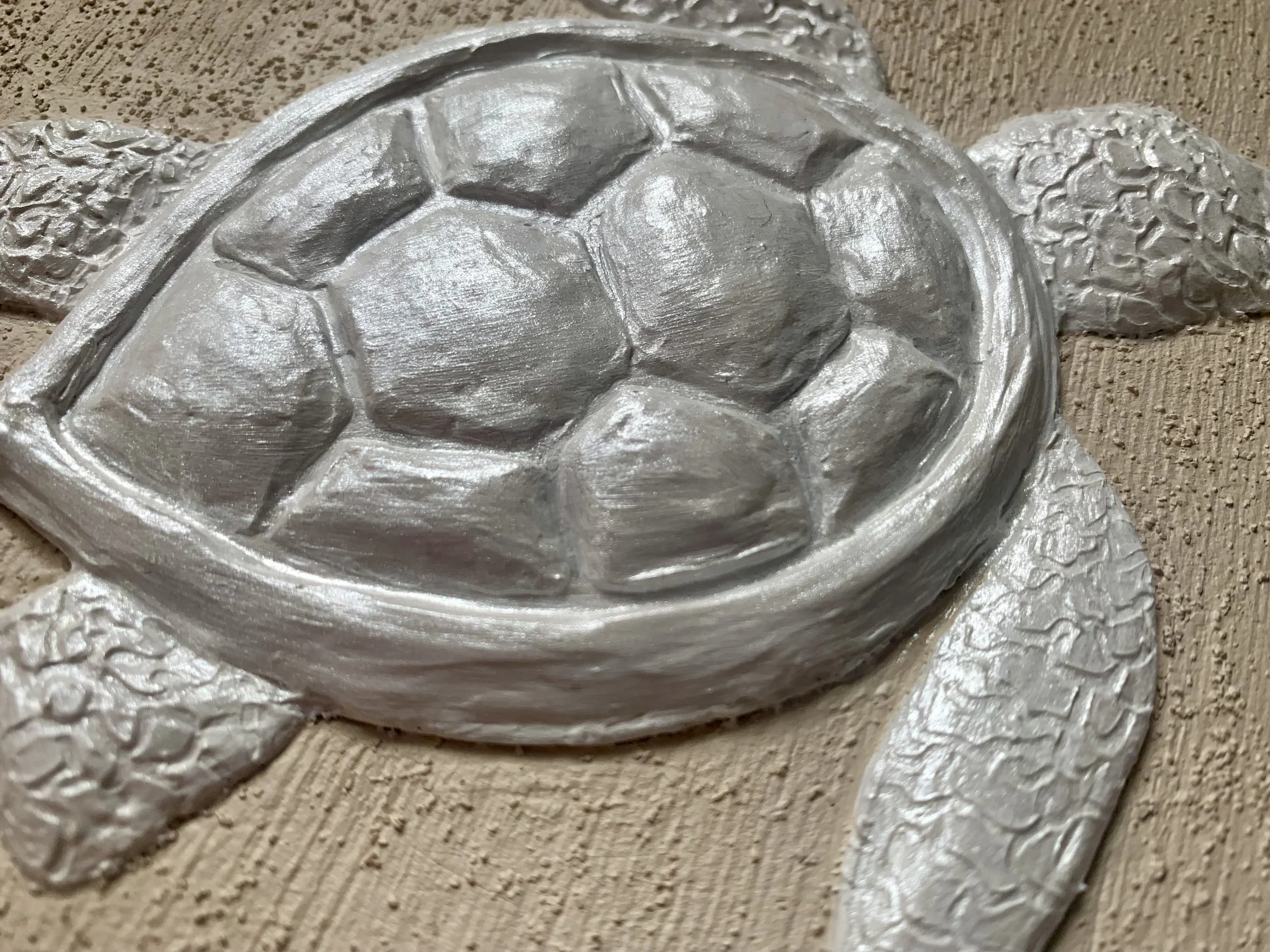 Turtle6.jpeg
