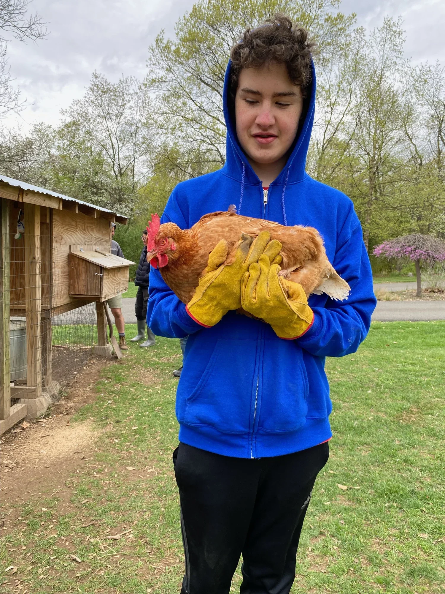 Farm + Garden: Reality? There's No App for That