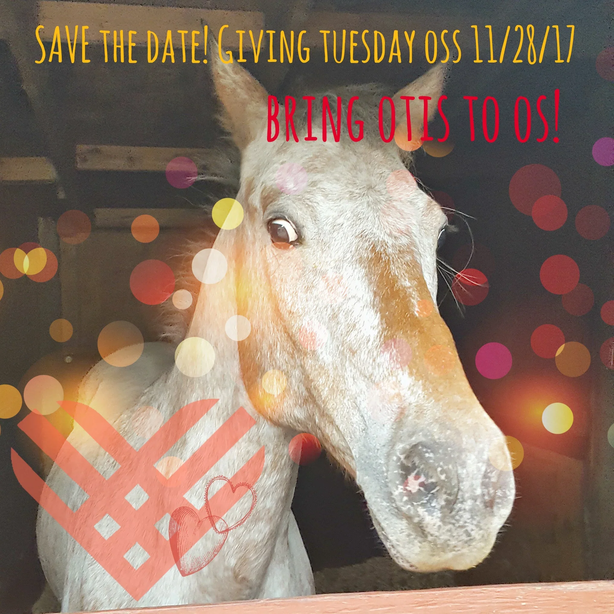 #Giving Tuesday OSS