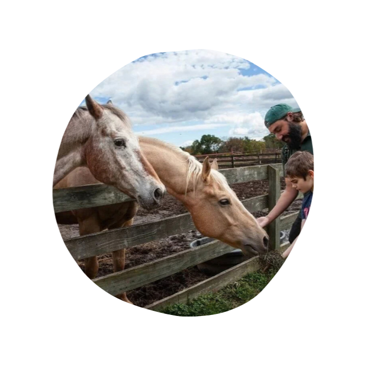 A boy and a male teacher are petting a horse while another horse looks on at Otto Specht School.