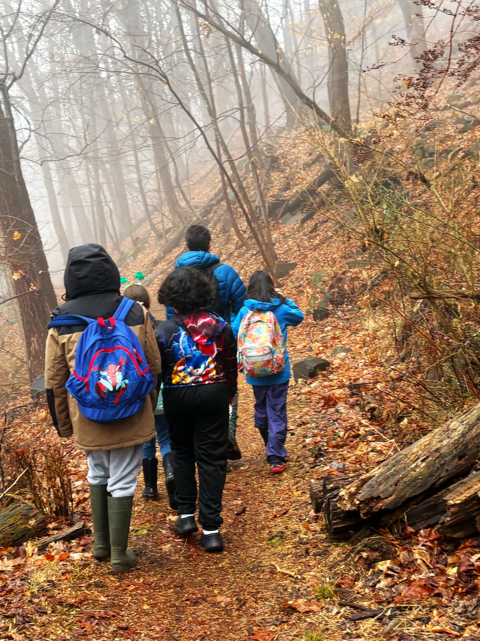 A group of students and a teacher at Otto Specht School hiking together on an autumnal train on a misty day. All the students have colorful backpacks and outdoor gear on.