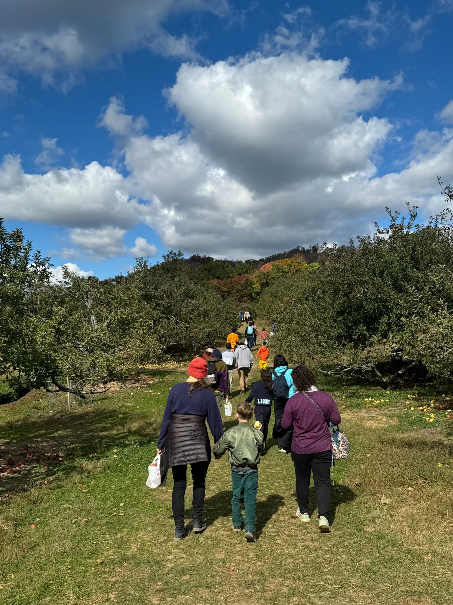 A group of students and teachers at Otto Specht School are walking together through an orchard with their backs facing the camera, with bags full of apples, walking hand in hand. The sky is beautiful blue with white clouds.