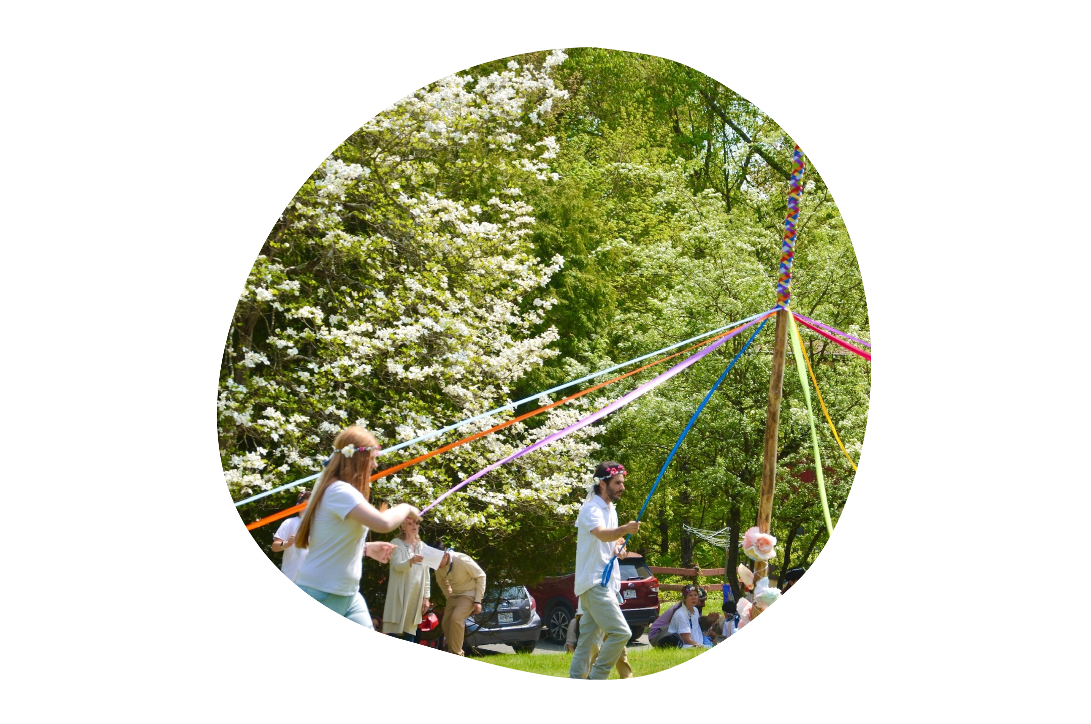 A group of students and teachers at Otto Specht School are dancing around a may pole, weaving ribbons together. There are trees in bloom in the background with white flowers.