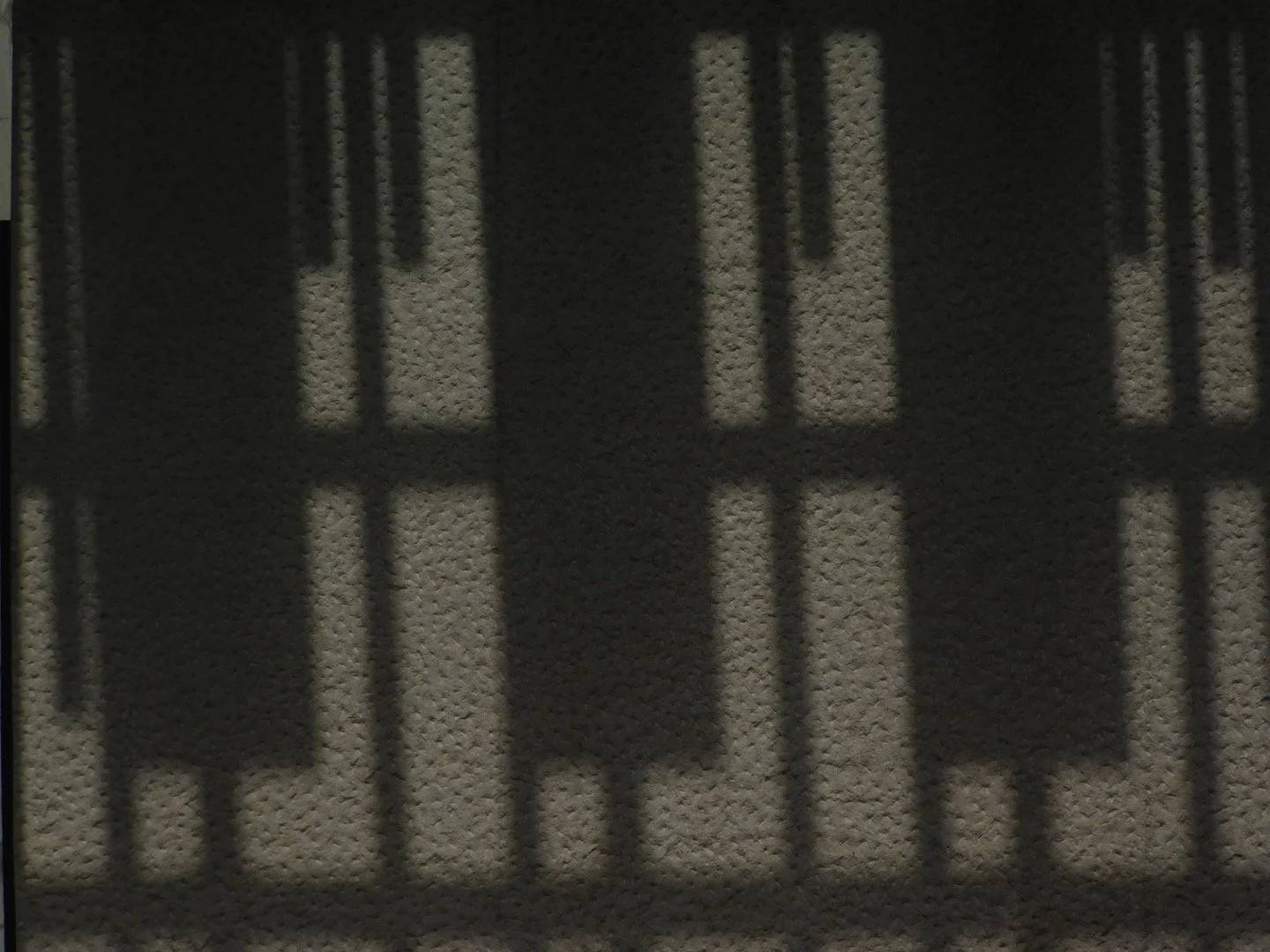 IMG_0416.jpeg