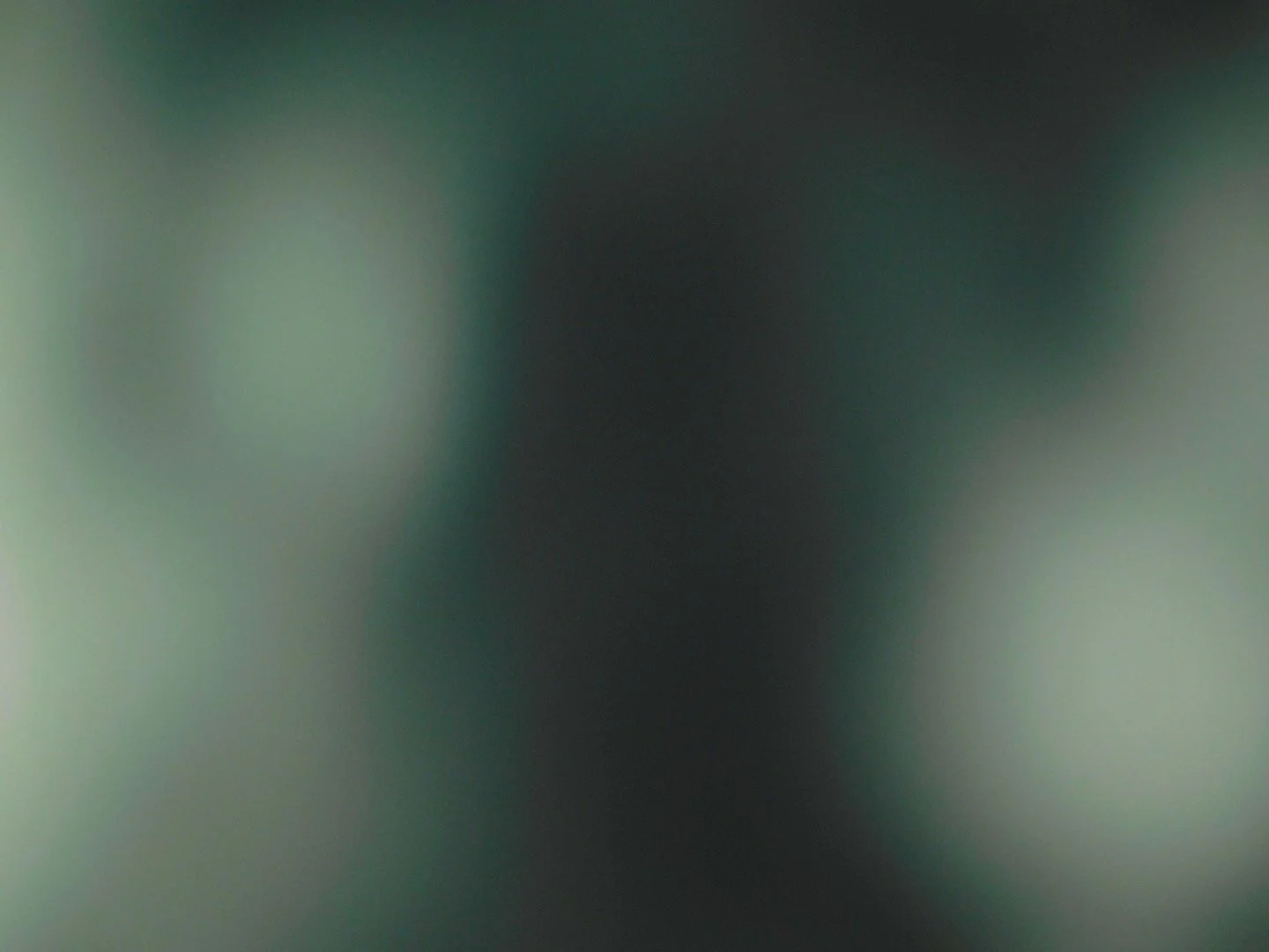 IMG_8658.jpeg