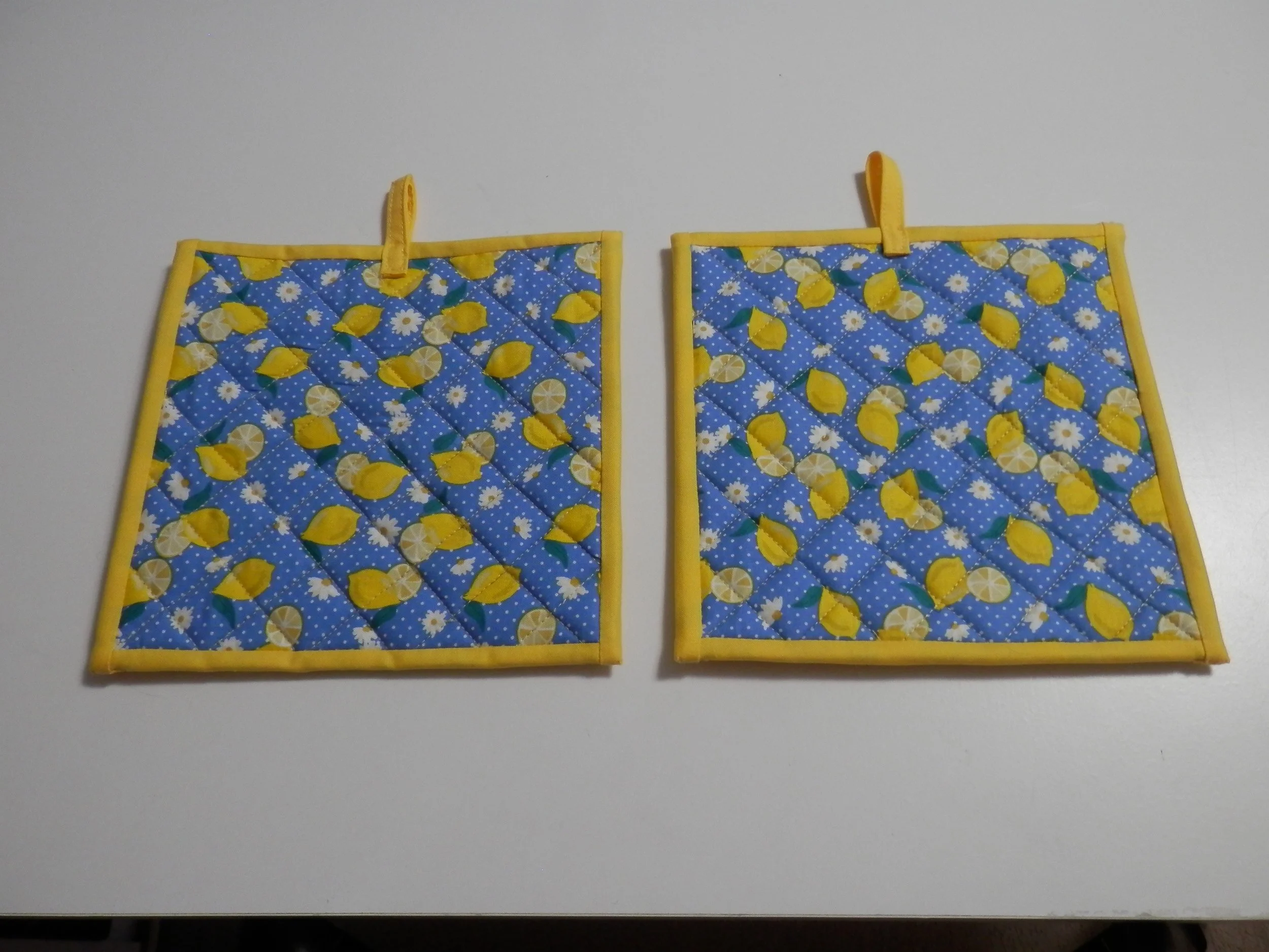 Fresh Lemons and Happy Daisies Potholders Set of 2