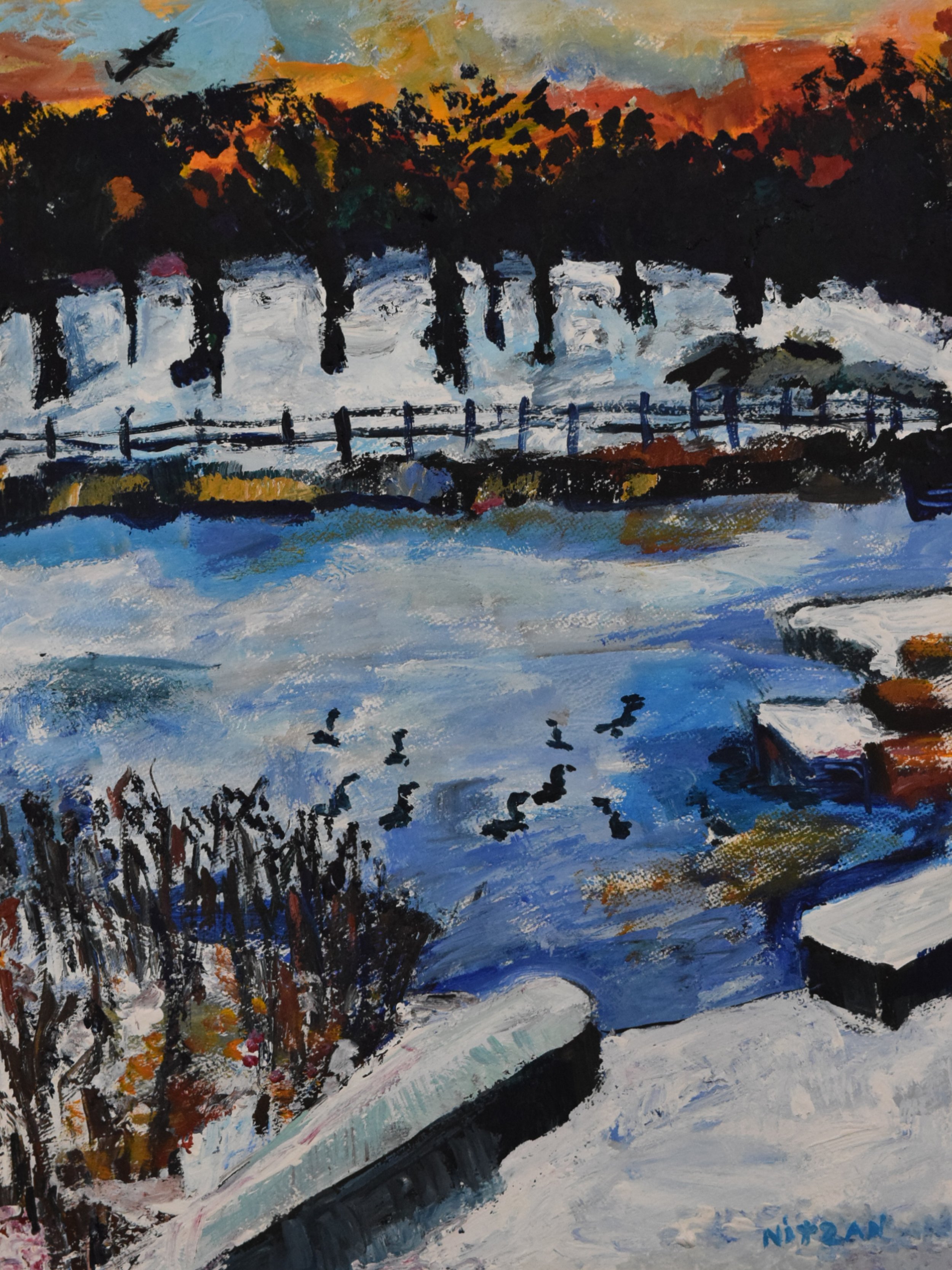 Winter on the pond