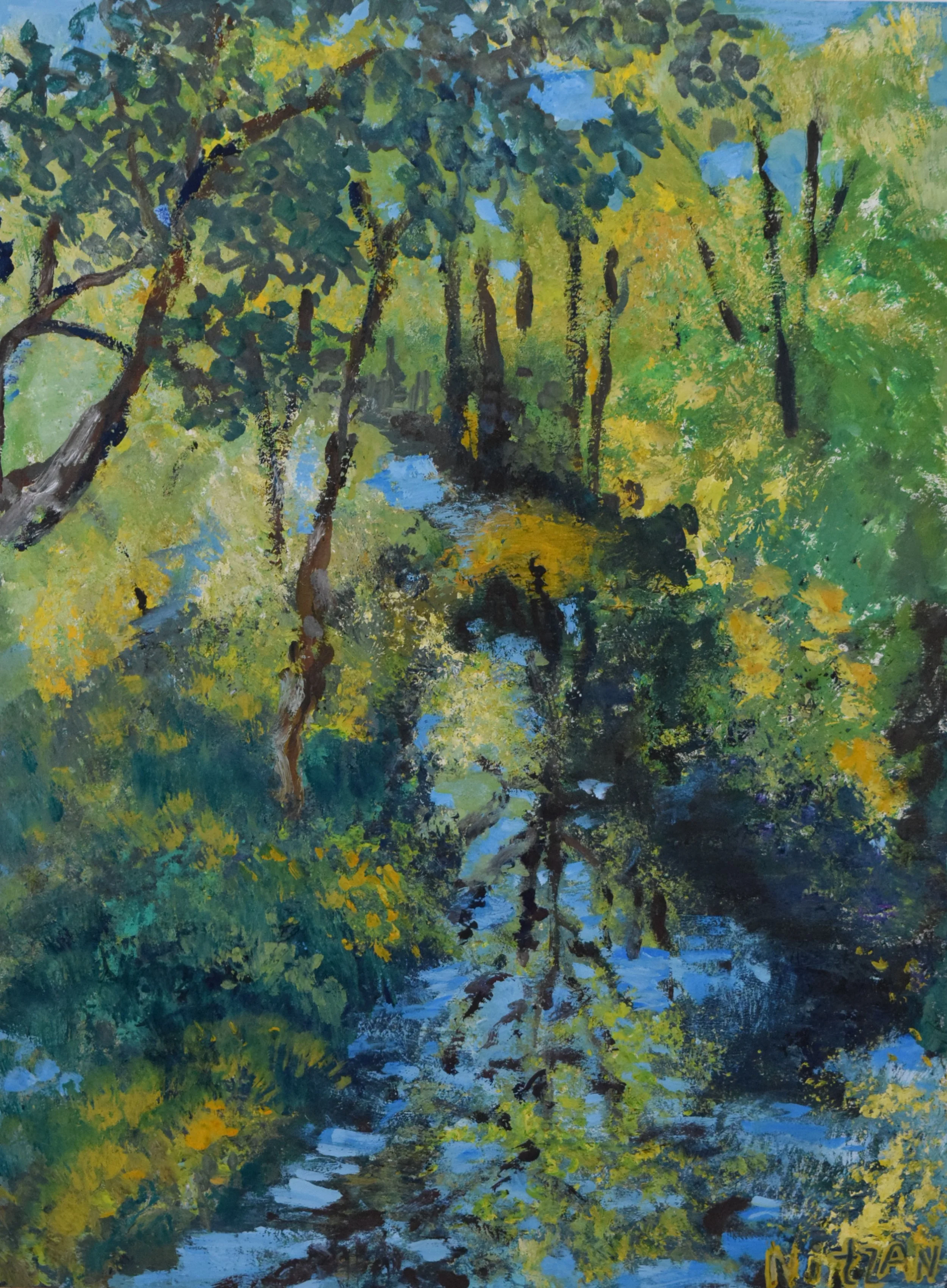 Quiet Forest Reflections