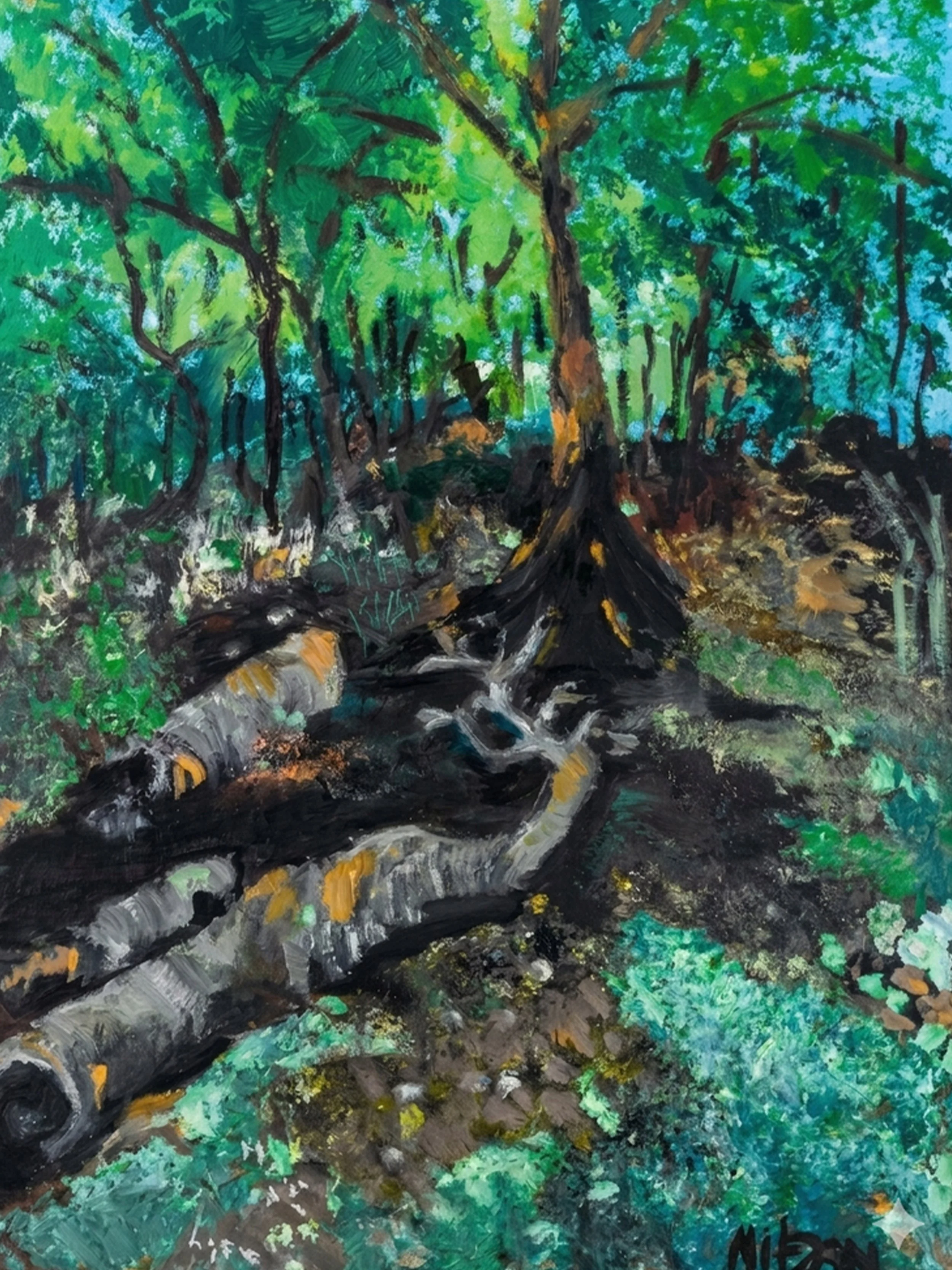 The forest