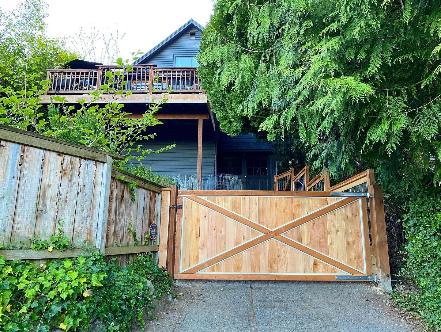 Photo of a gate with a house behind it and a evergreen tree spilling over the fence