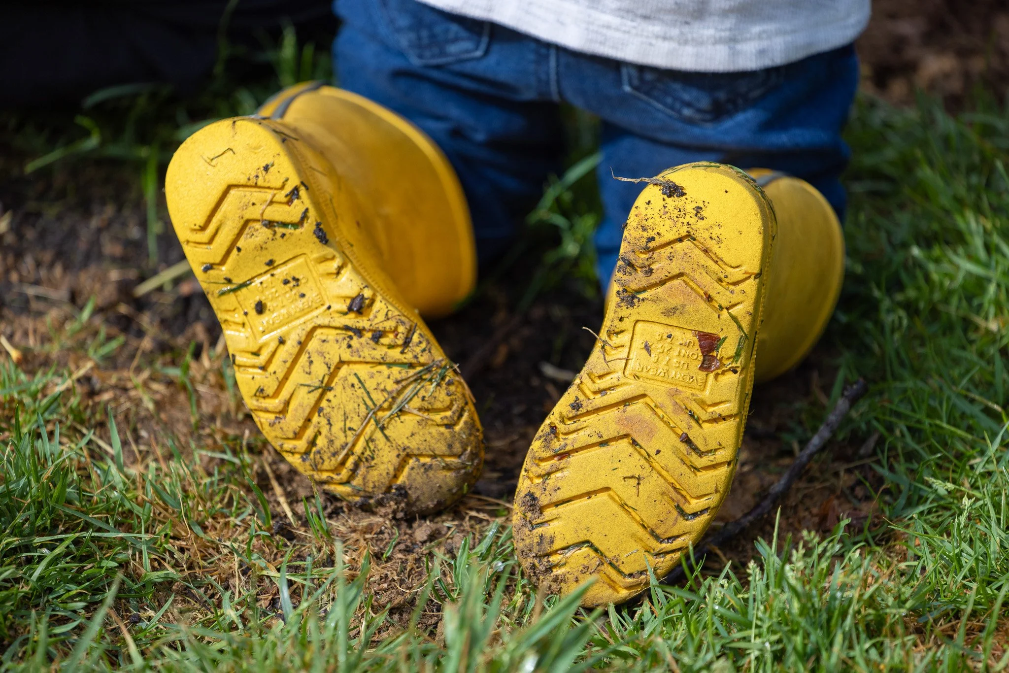 AlleghenyFineGardening_-106.jpg