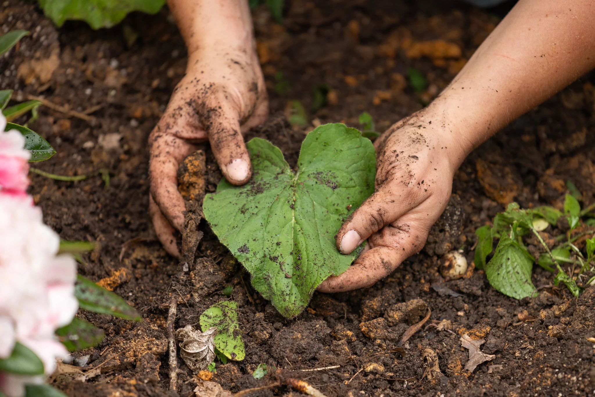 AlleghenyFineGardening_-142.jpg