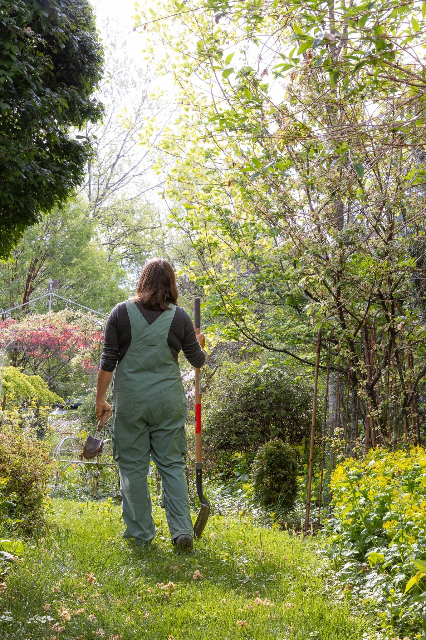 Person gardening with a shovel among lush green plants and trees in a sunny garden.