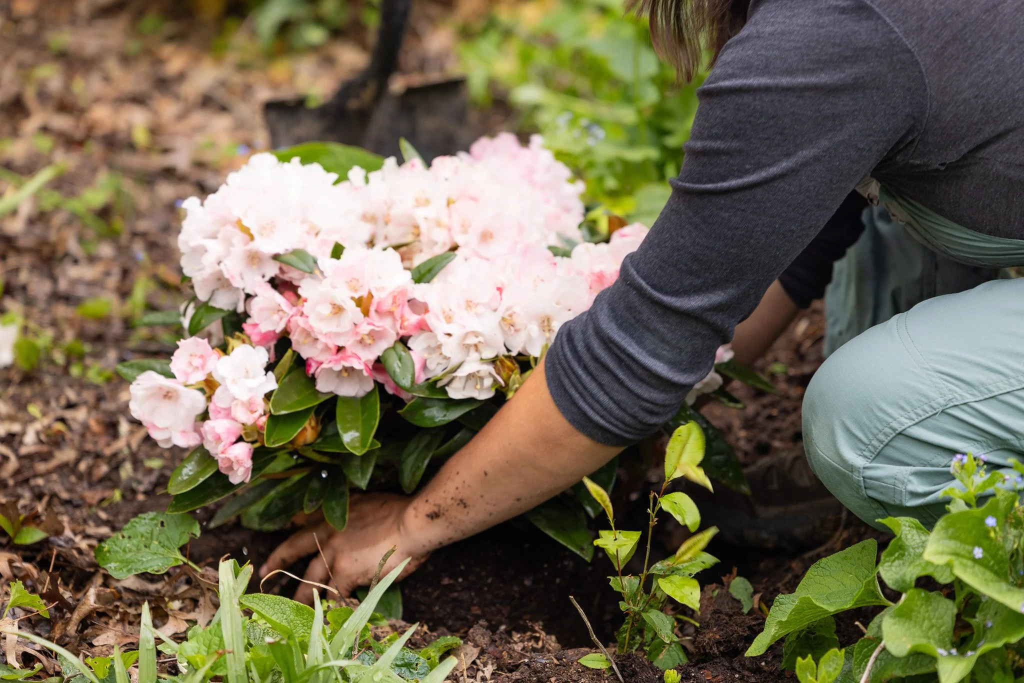 AlleghenyFineGardening_-138.jpg