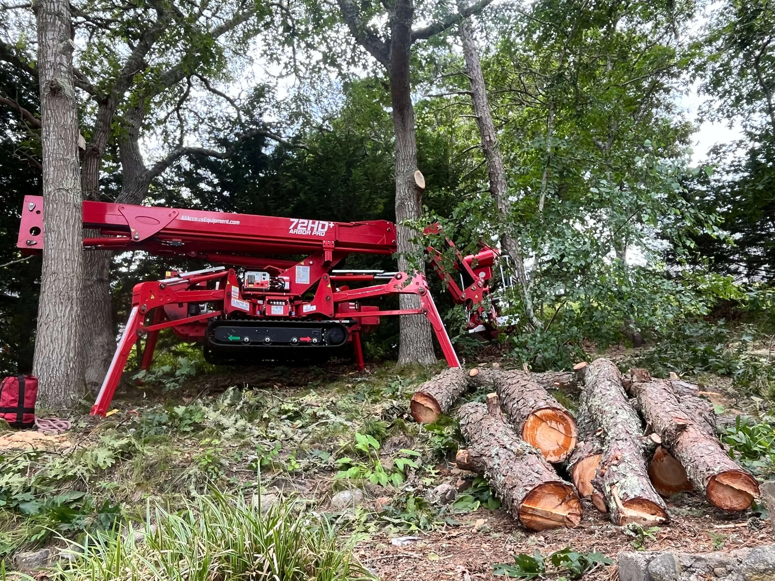 A red aerial lift machine working among trees, with cut tree logs on the ground and felled branches.