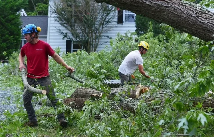 Two men wearing helmets and gloves cutting a fallen tree with a chainsaw in a backyard with green trees and a white house in the background.