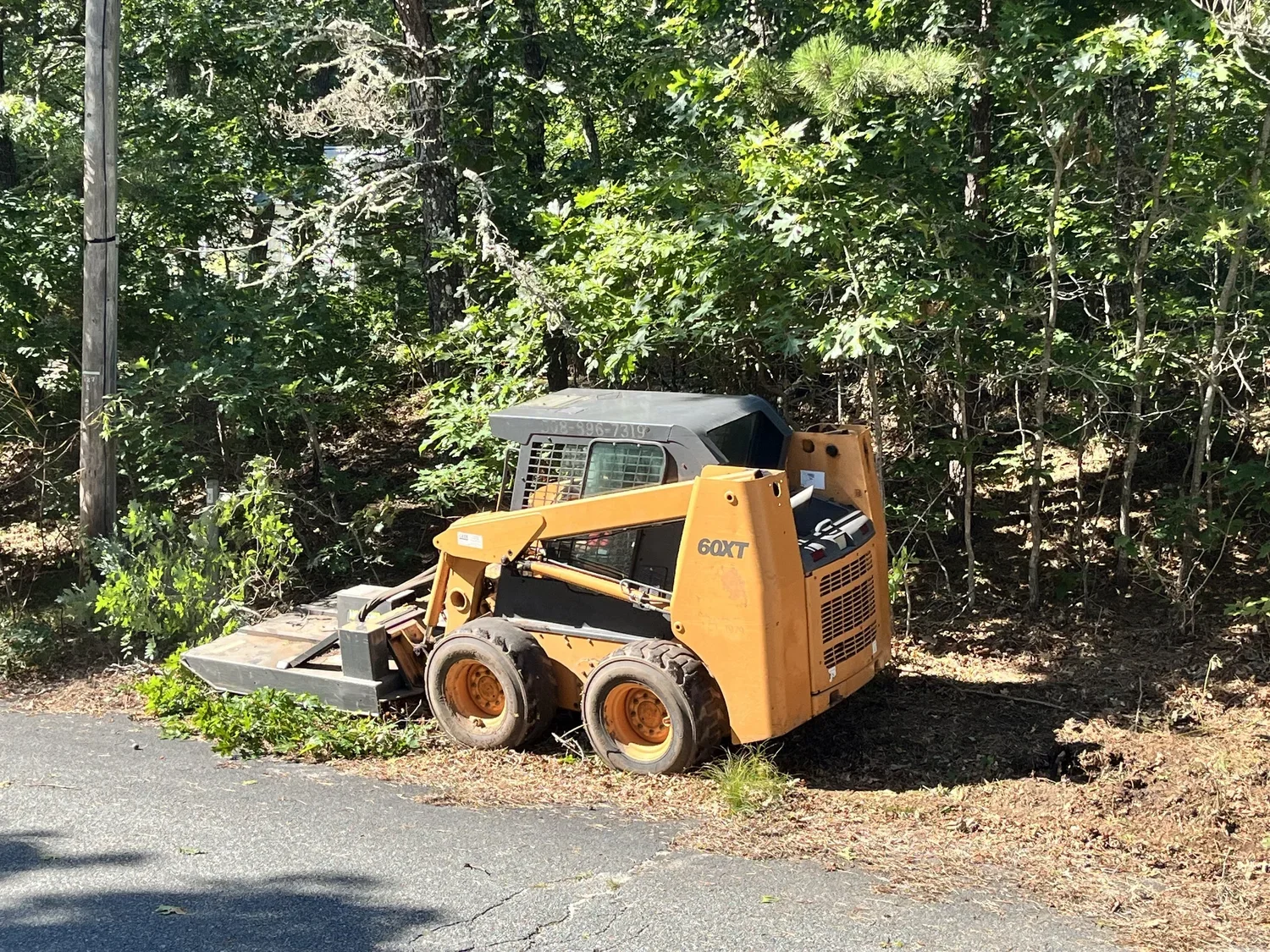 A skid steer loader parked on the edge of a paved road next to a wooded area with green trees and bushes.