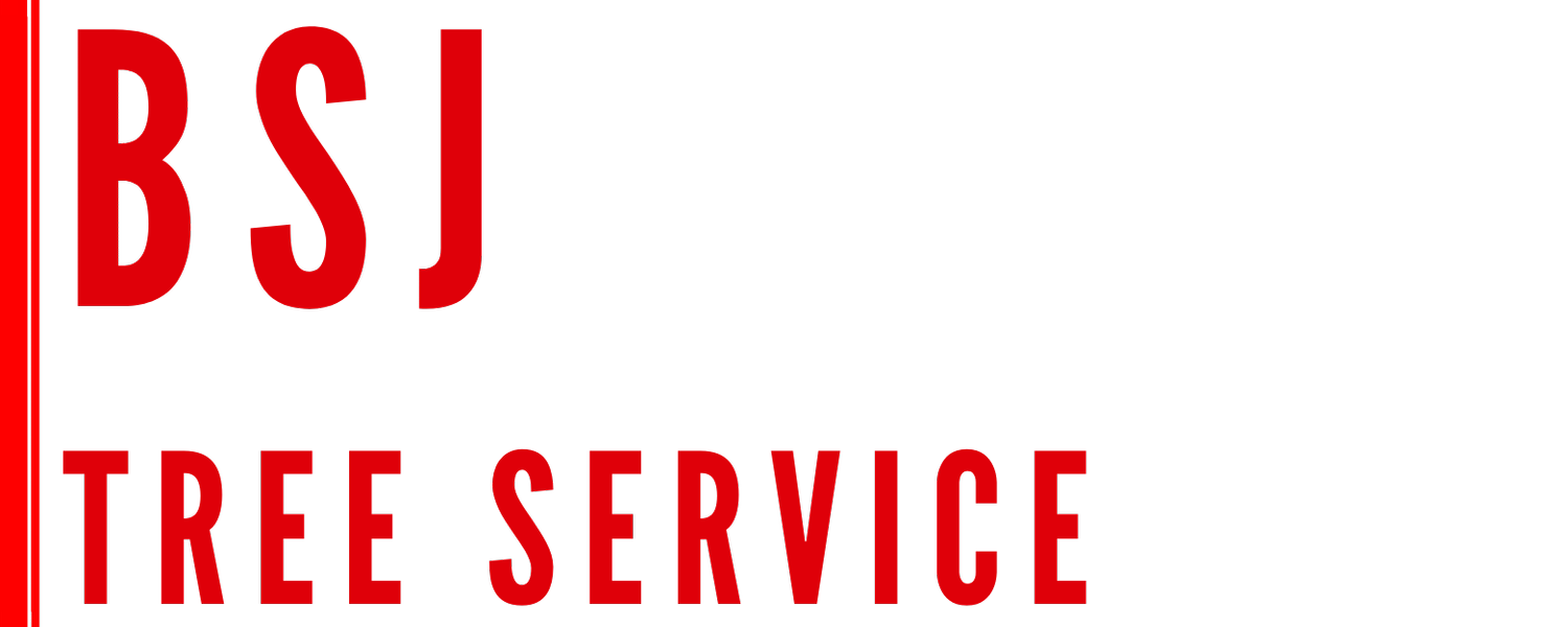 BSJ Tree Service