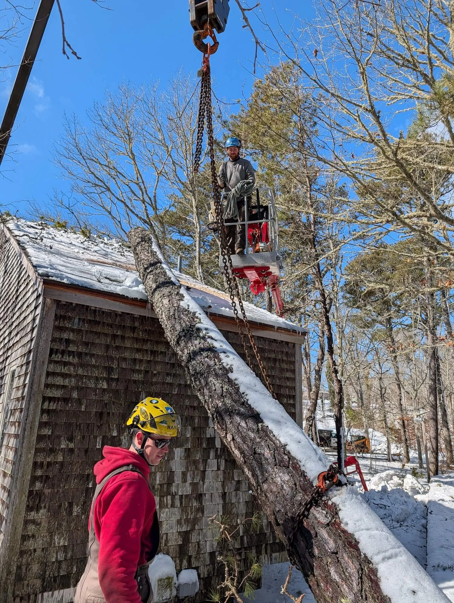 A man with a blue helmet and gray jacket standing in a cherry picker, lifting a large fallen tree with snow on it, while another person with a yellow helmet and glasses looks on nearby. The scene is outdoors in a snowy area with trees and a wooden building.