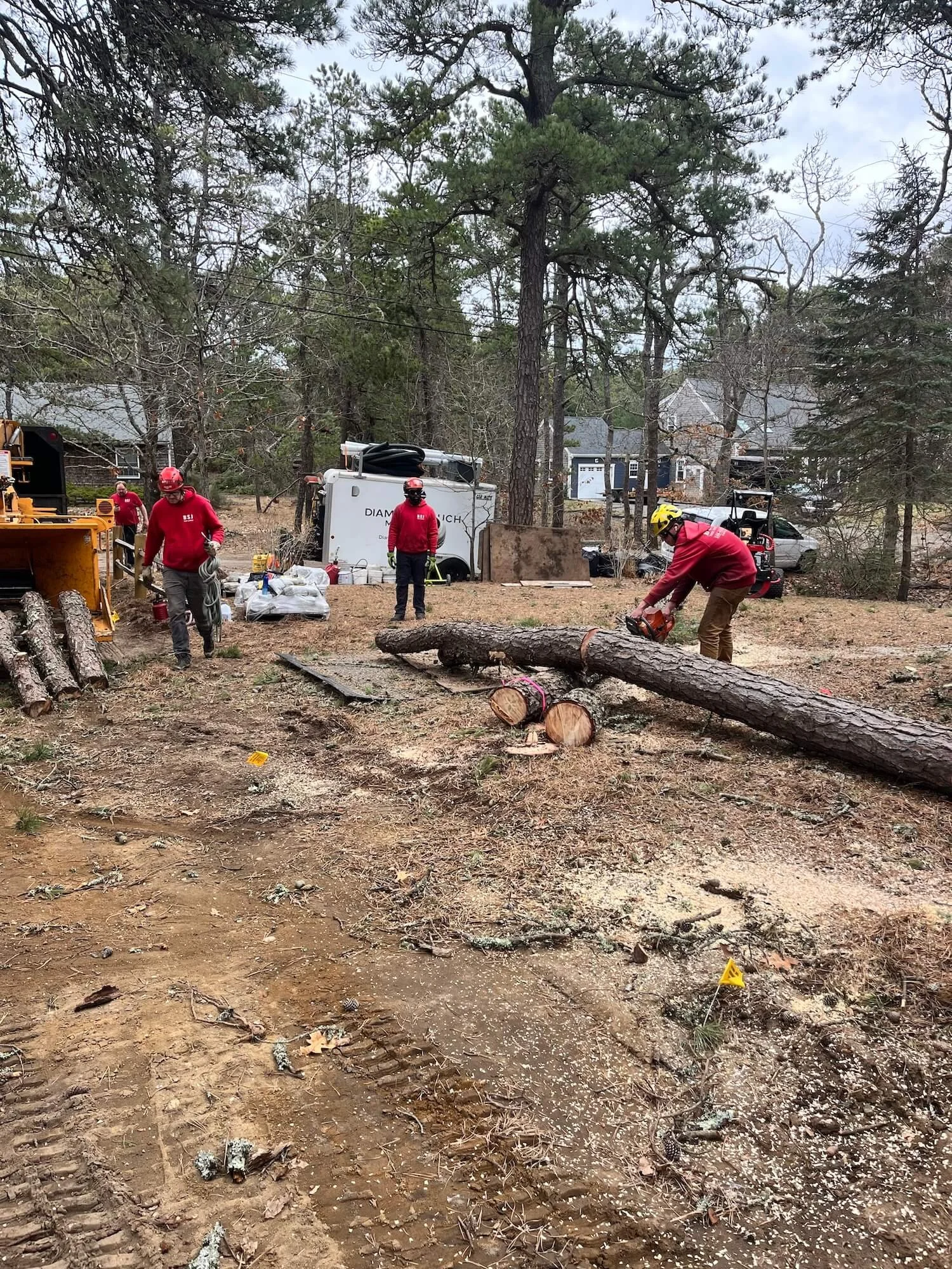 Workers in red safety gear and helmets cutting a fallen tree on a construction or cleanup site in a wooded residential area.