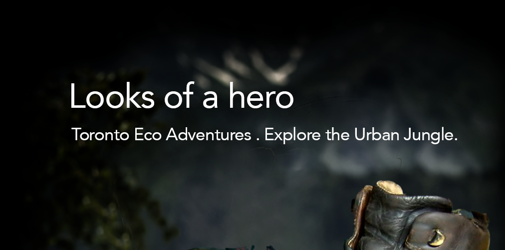 Looks Of A Hero