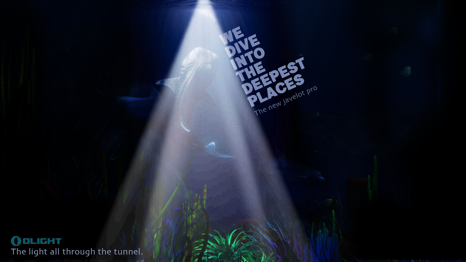 937662e2-3632-42a9-9239-0bd7b8faa420_rw_1920.png