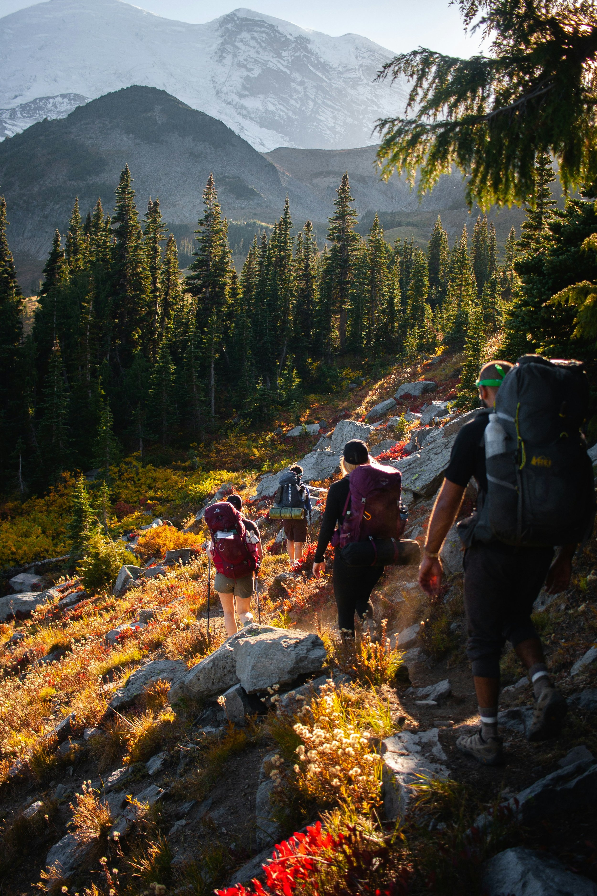 How to Choose a Hiking Trail