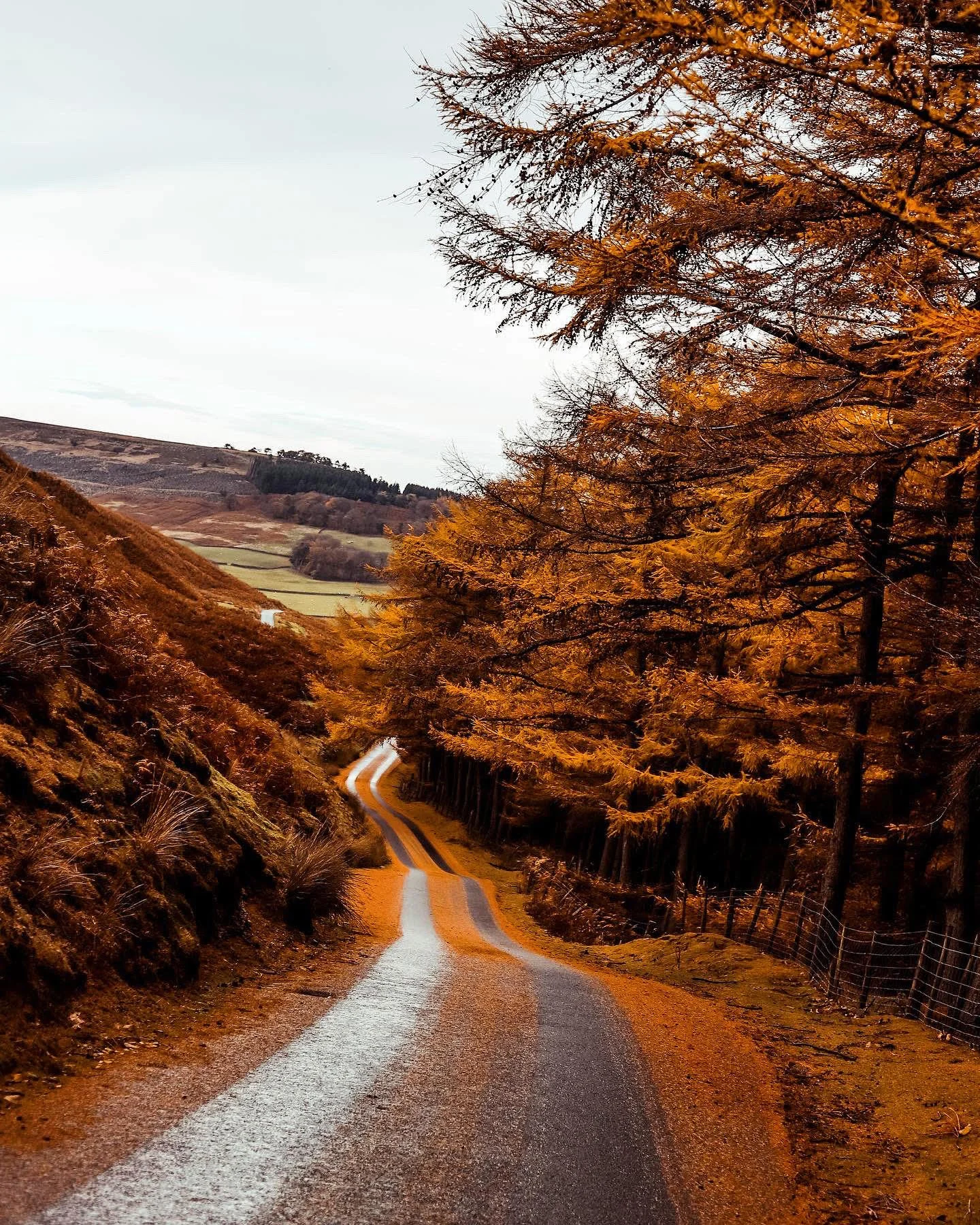 Landscapes