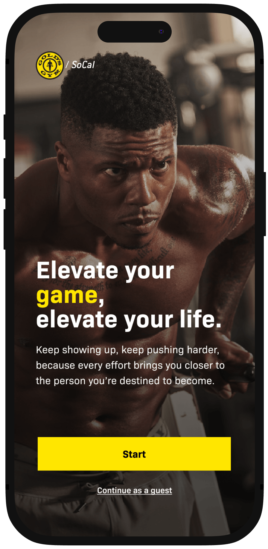 golds-gym_02.png