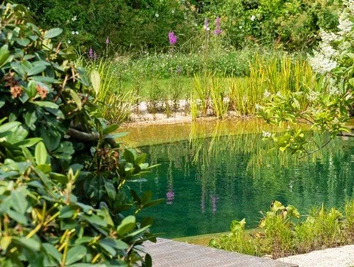 Proj 3 - New Mood Board 1 Pool .jpg