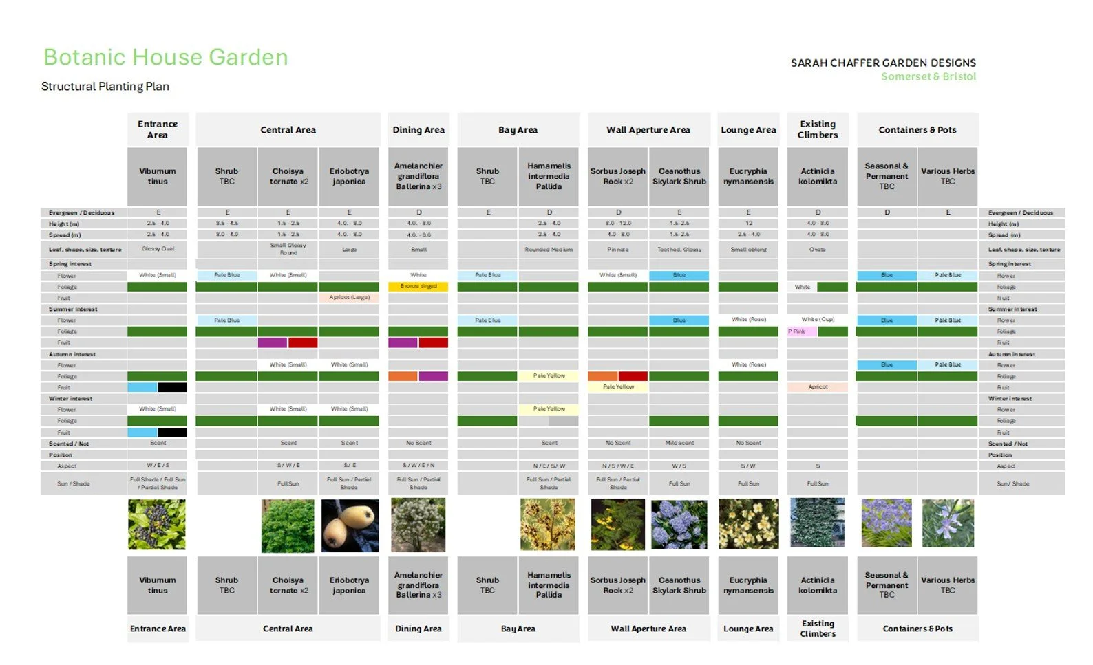 Proj1 - Successional Planting Plan.jpg