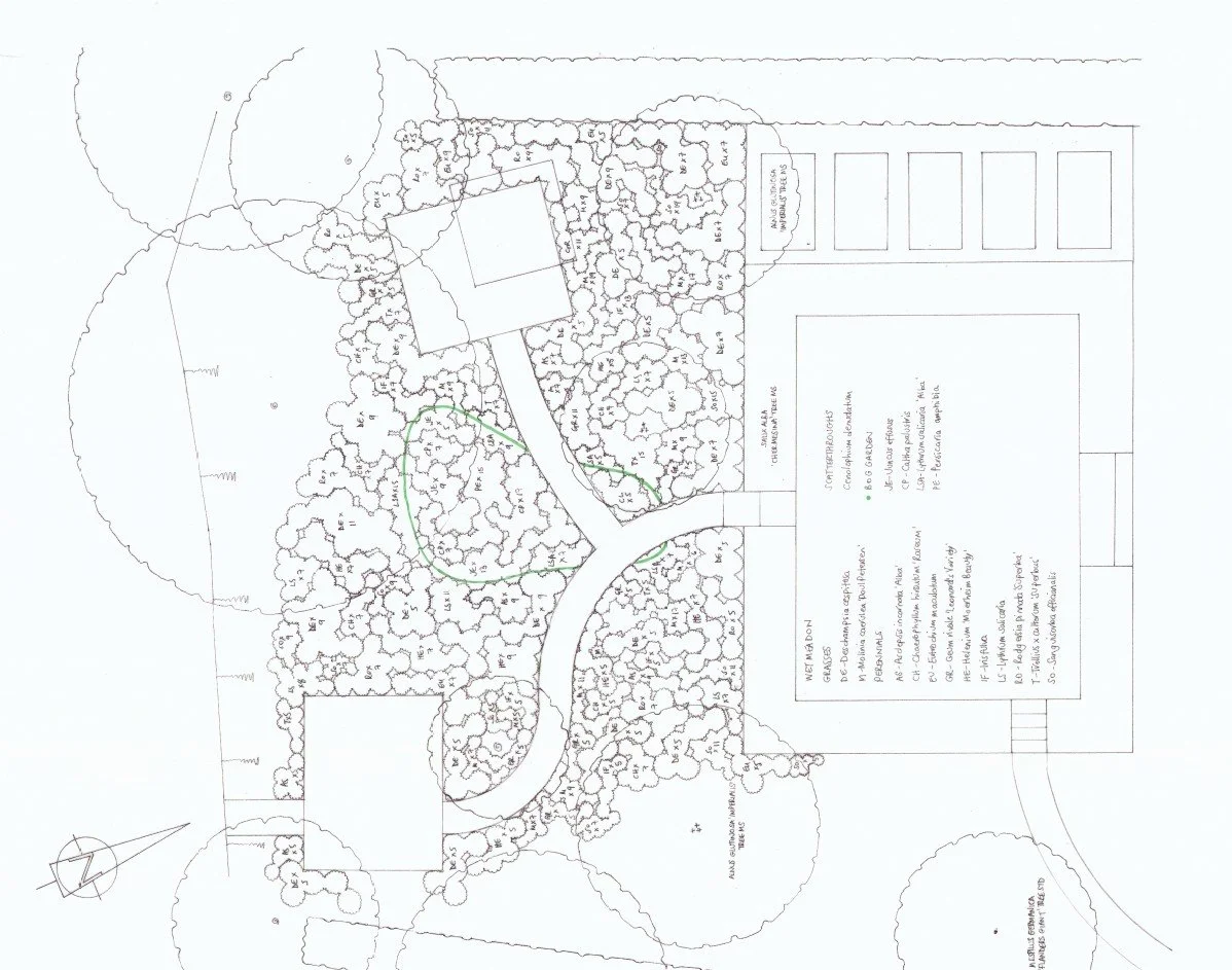 Planting Plan - Wet Meadow and Bog Garden