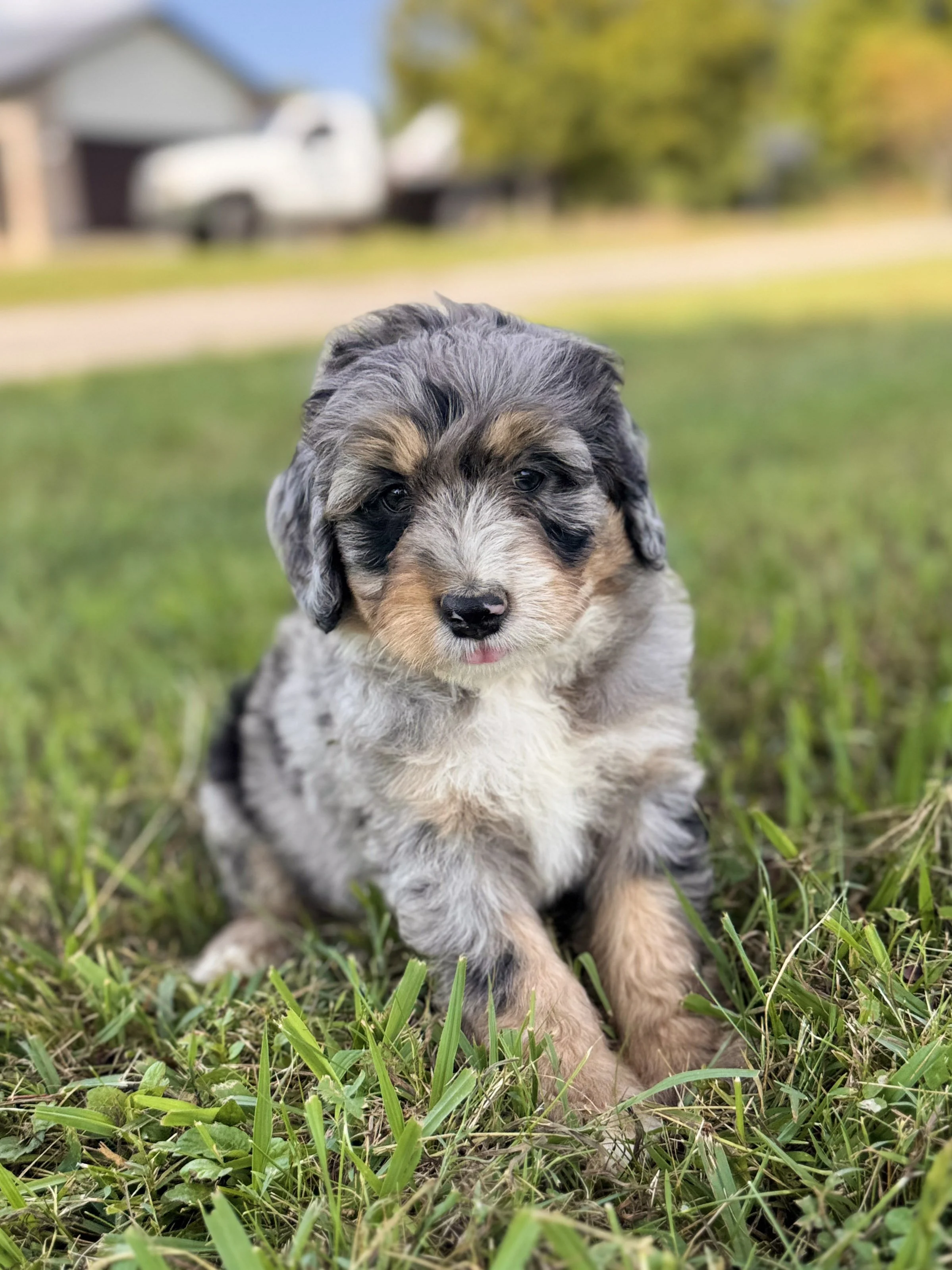 Winston | RESERVED