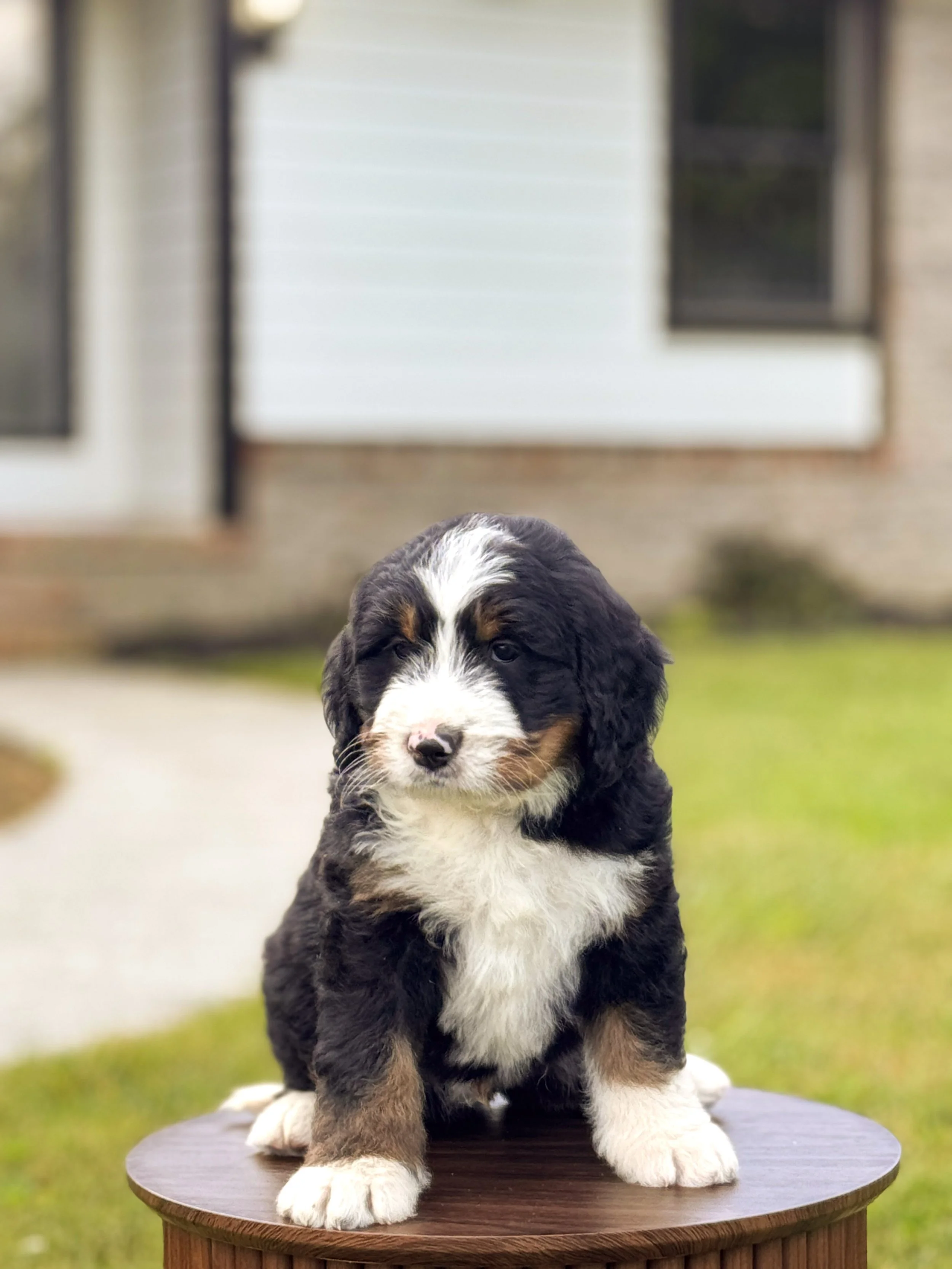 Frederick | RESERVED