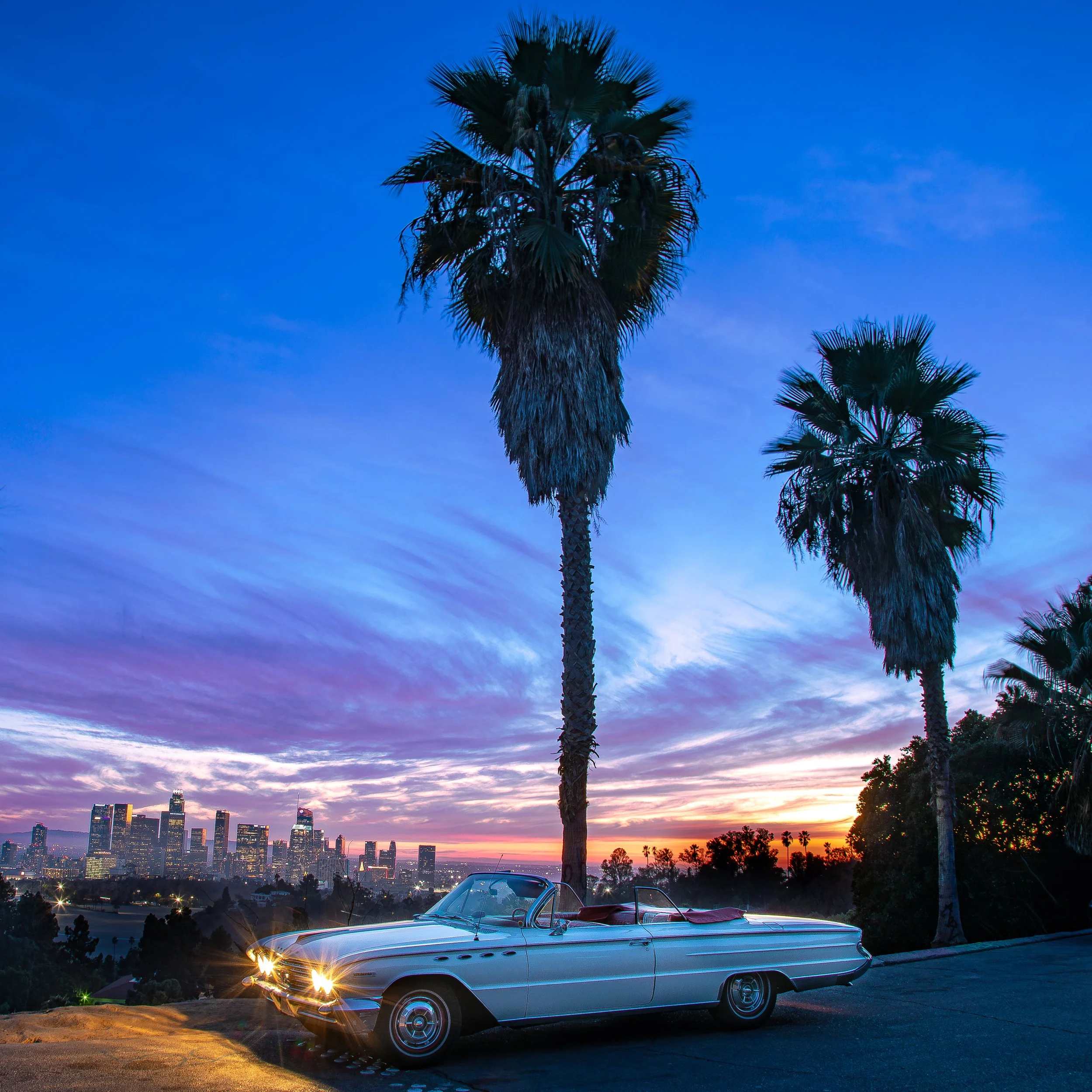 Downtown L.A. from Elysian Park