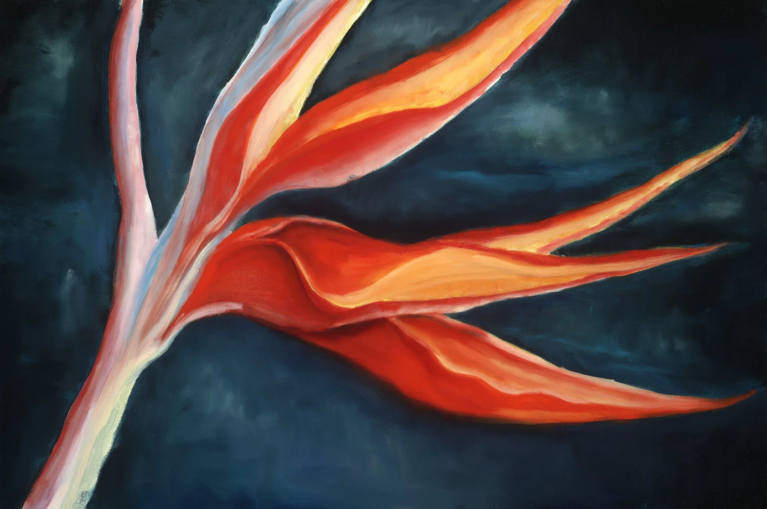 Bird of Paradise